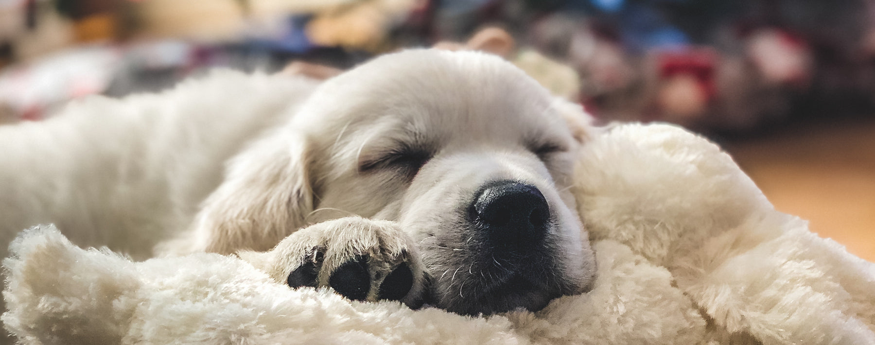 Gefahren in der Weihnachtszeit