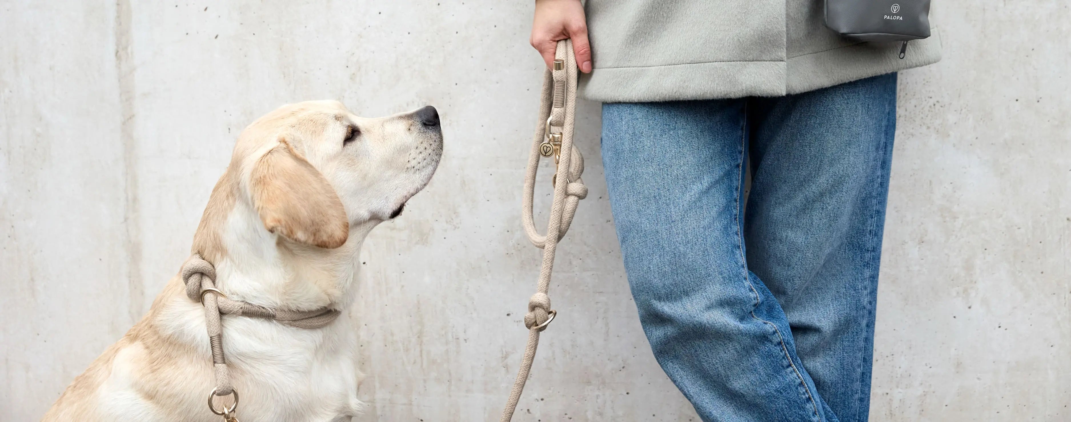 Frühlingsabenteuer-mit-deinem-Vierbeiner PALOPA