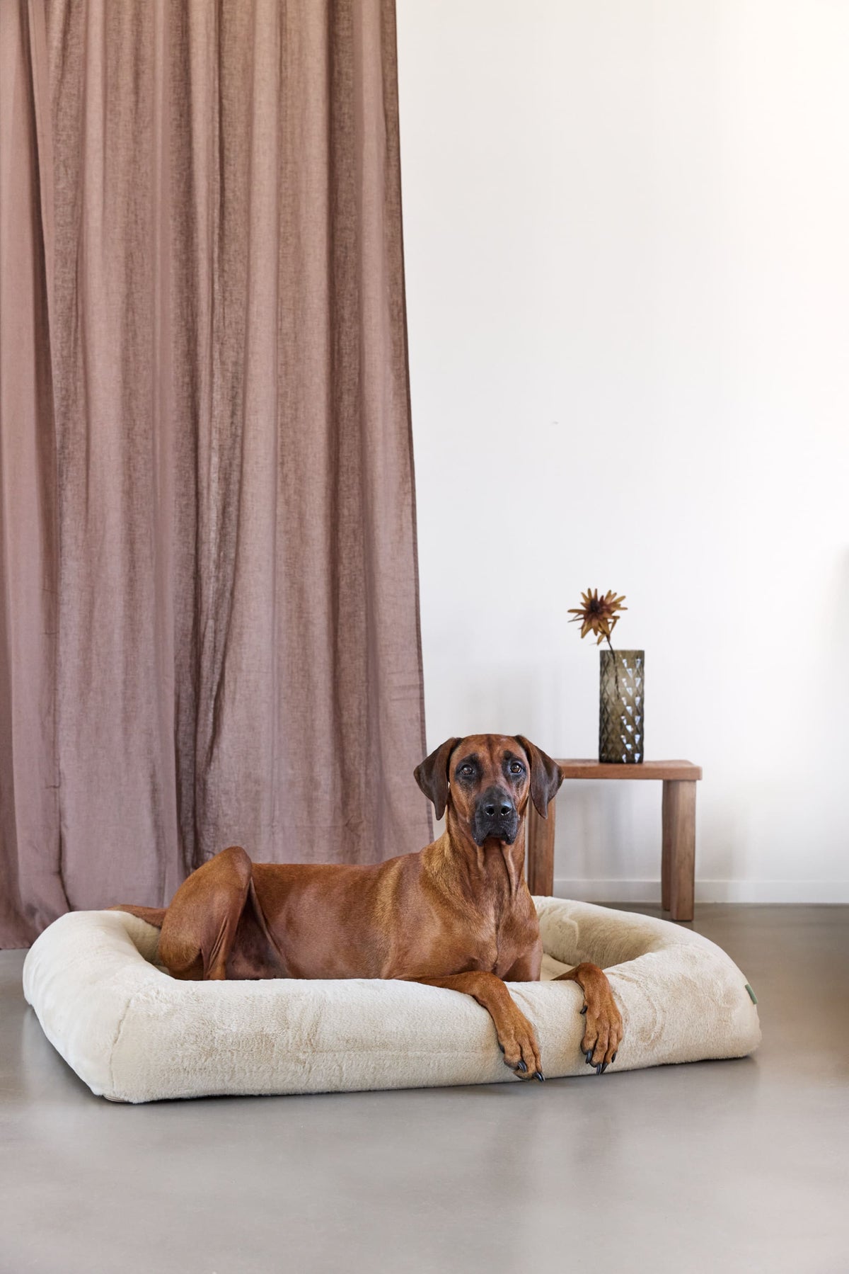 Hundebett - Soma - PALOPA