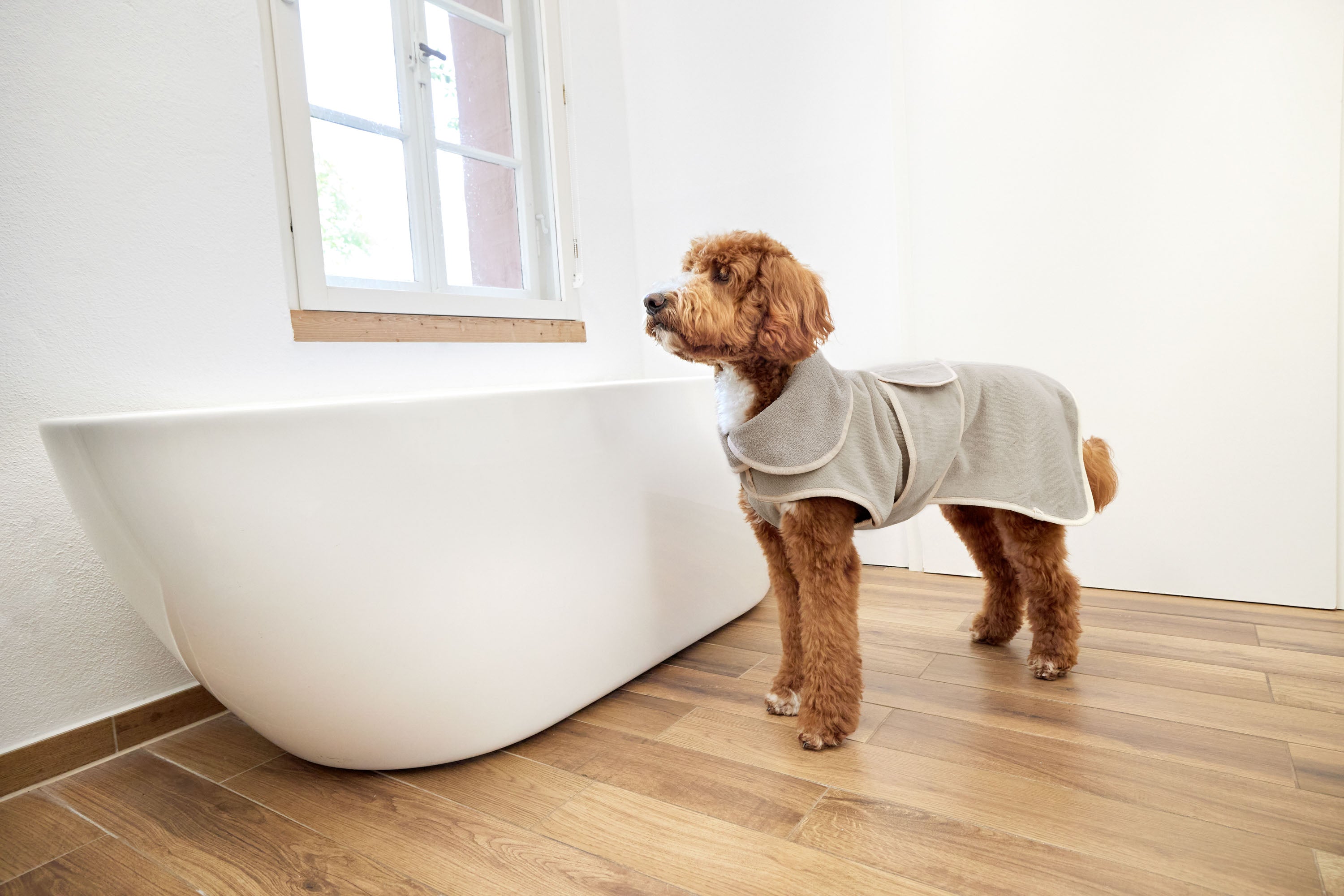 Hundebademantel - Robi, Beige