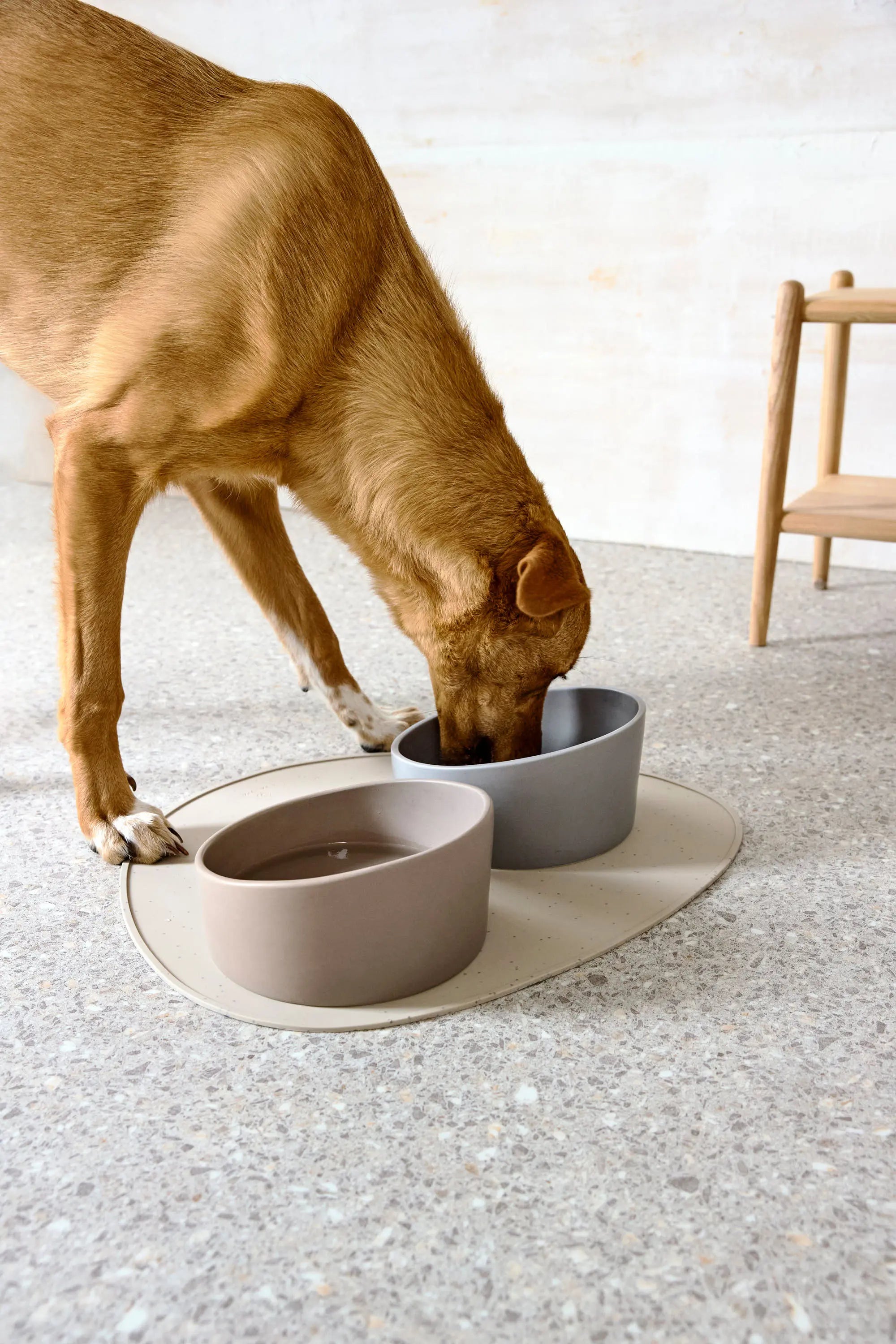 Gamelle pour chien - Cali, Taupe