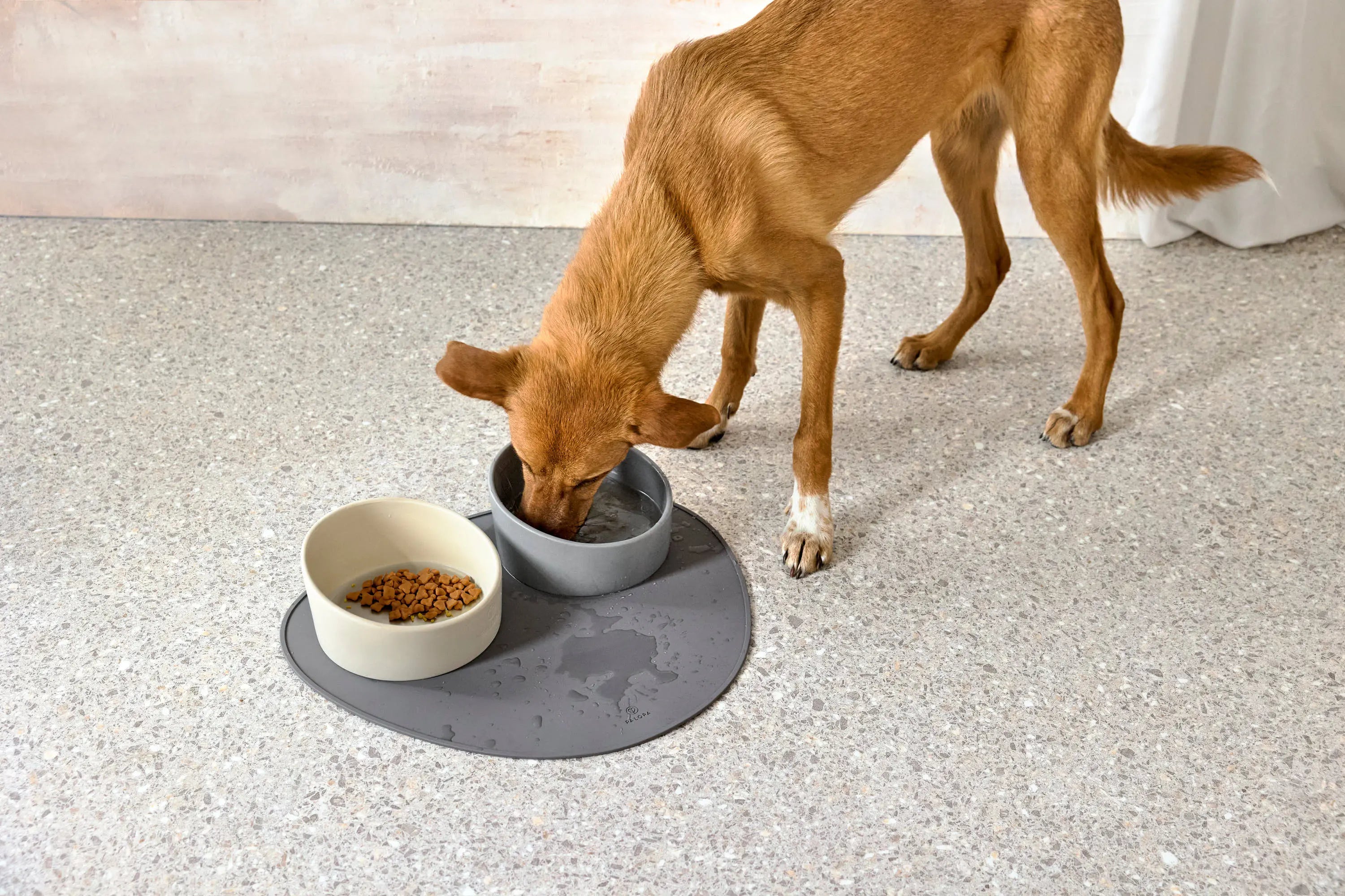 Gamelle pour chien - Cali, beige