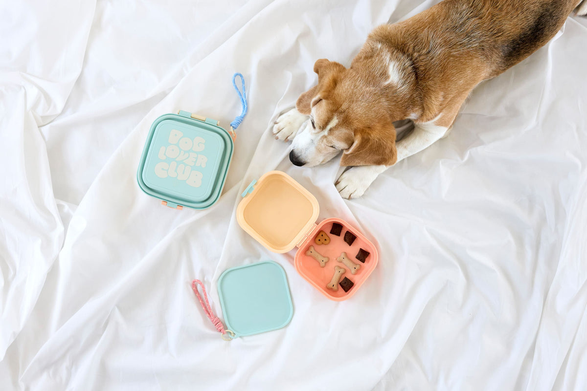 Snackbox Hunde - Dobo