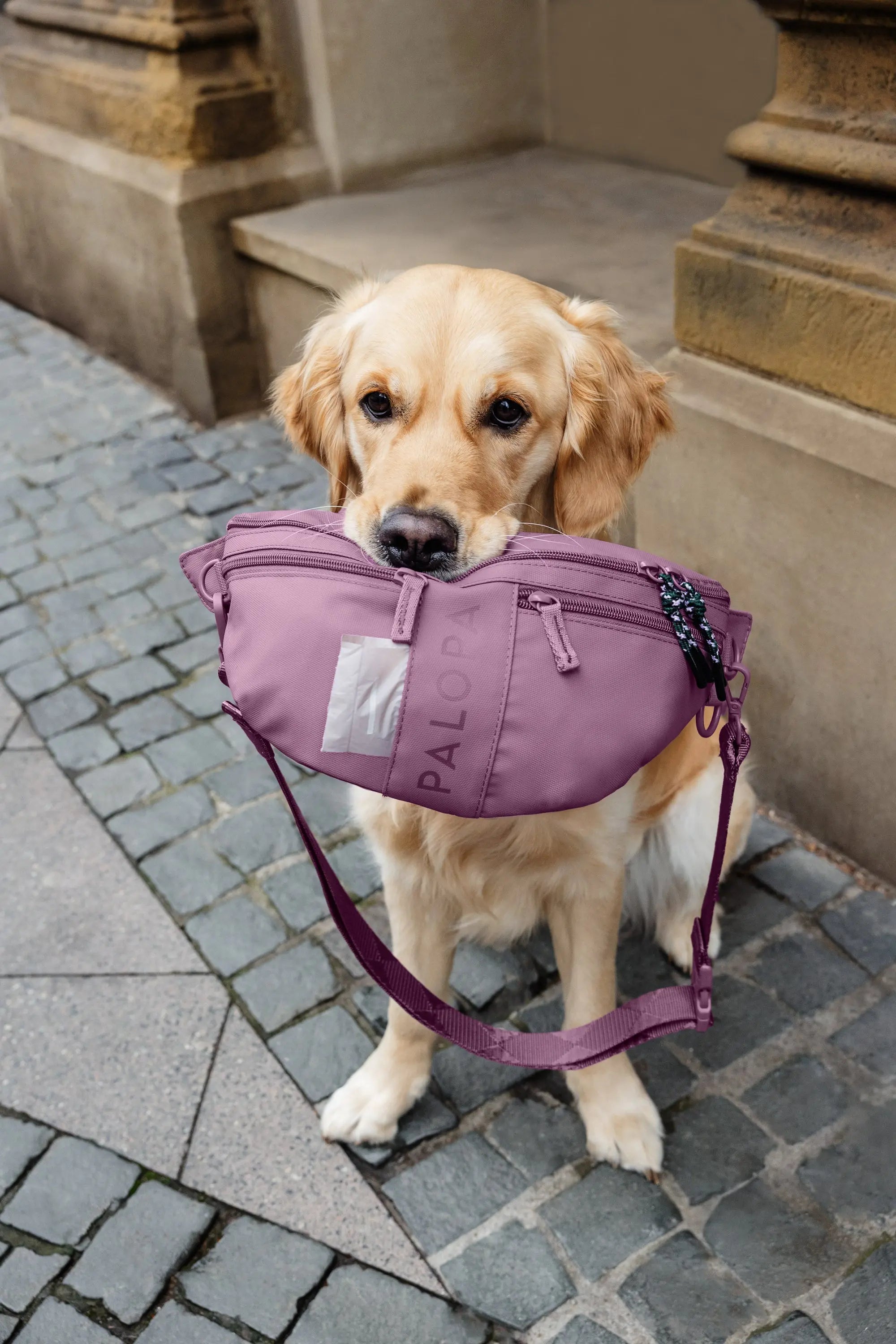 Sac à friandises - Emma, Rouge Baie