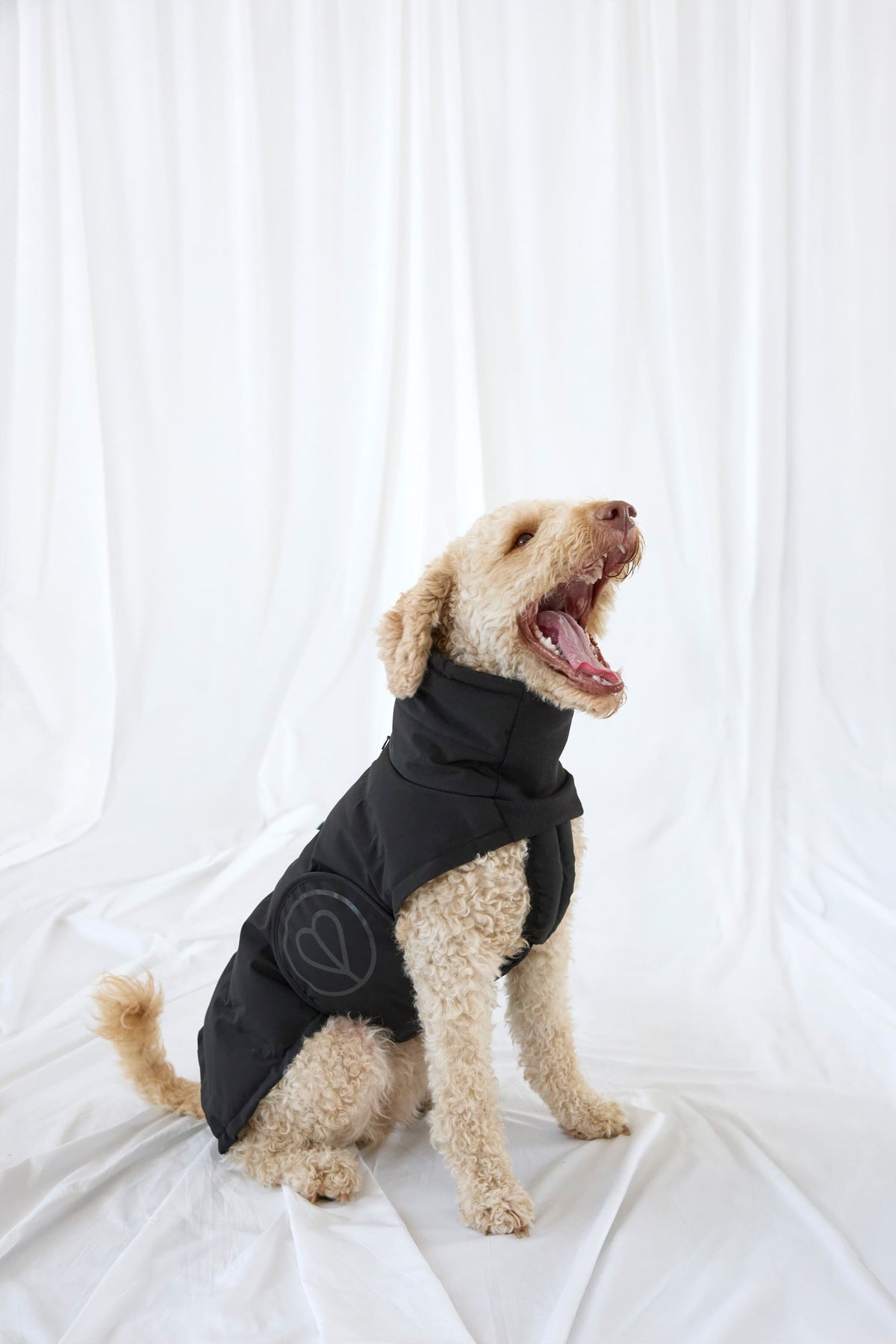 Hundewintermantel Kurz - Nolia