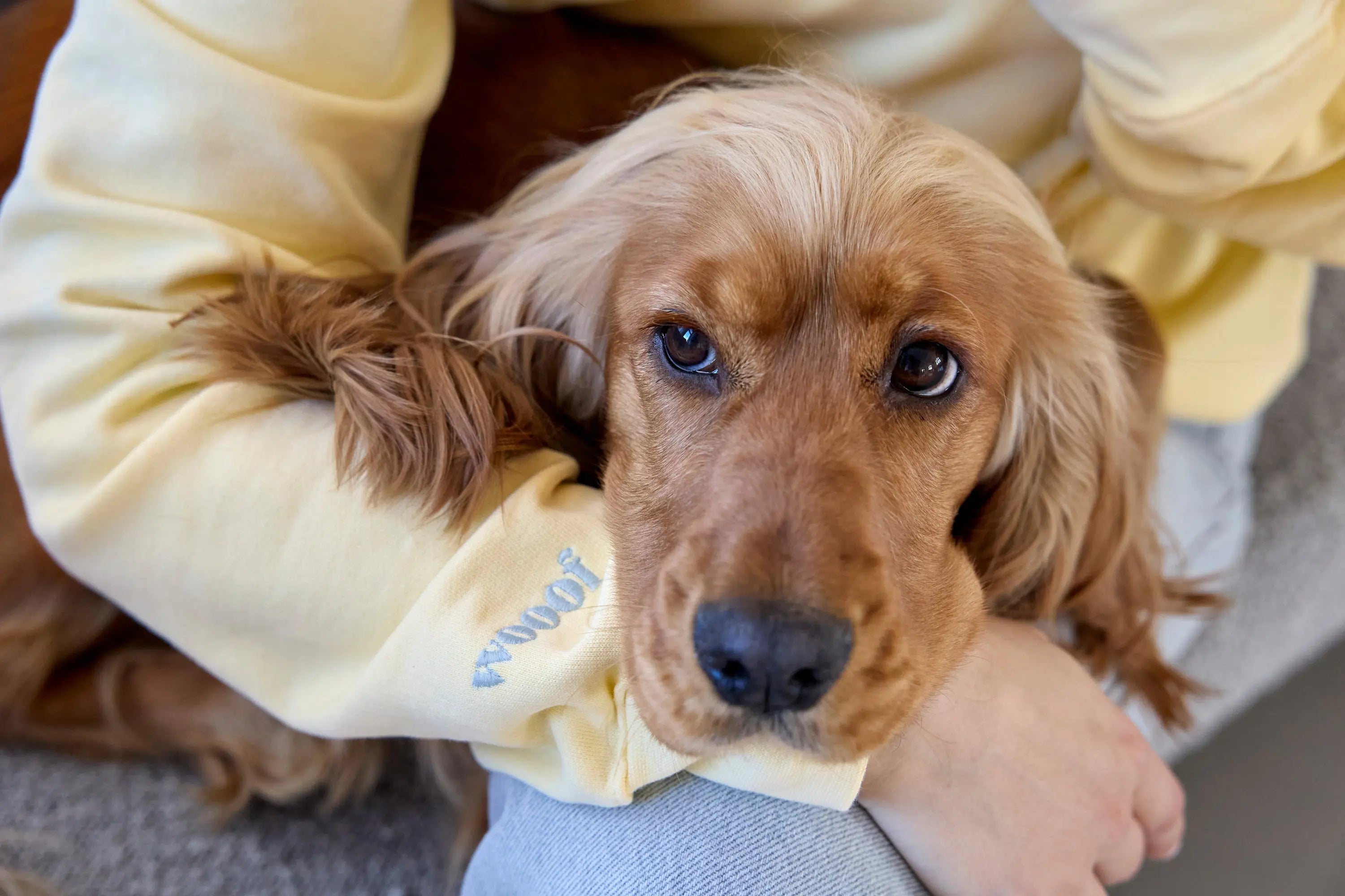 PALOPA Sweater - Bio Baumwolle, Lemon Icing