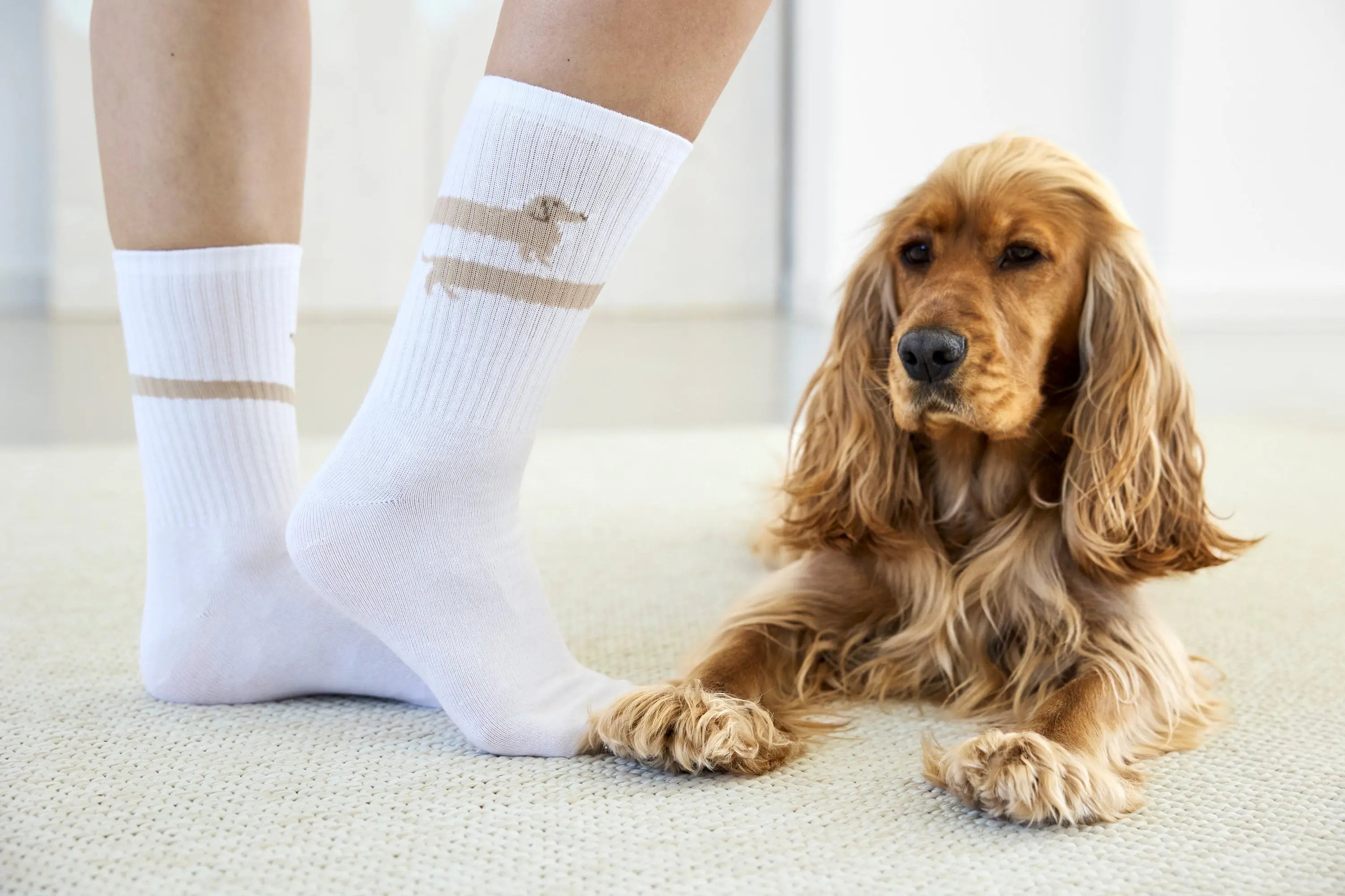 PALOPA Tennis Socken - Long Badger Dog