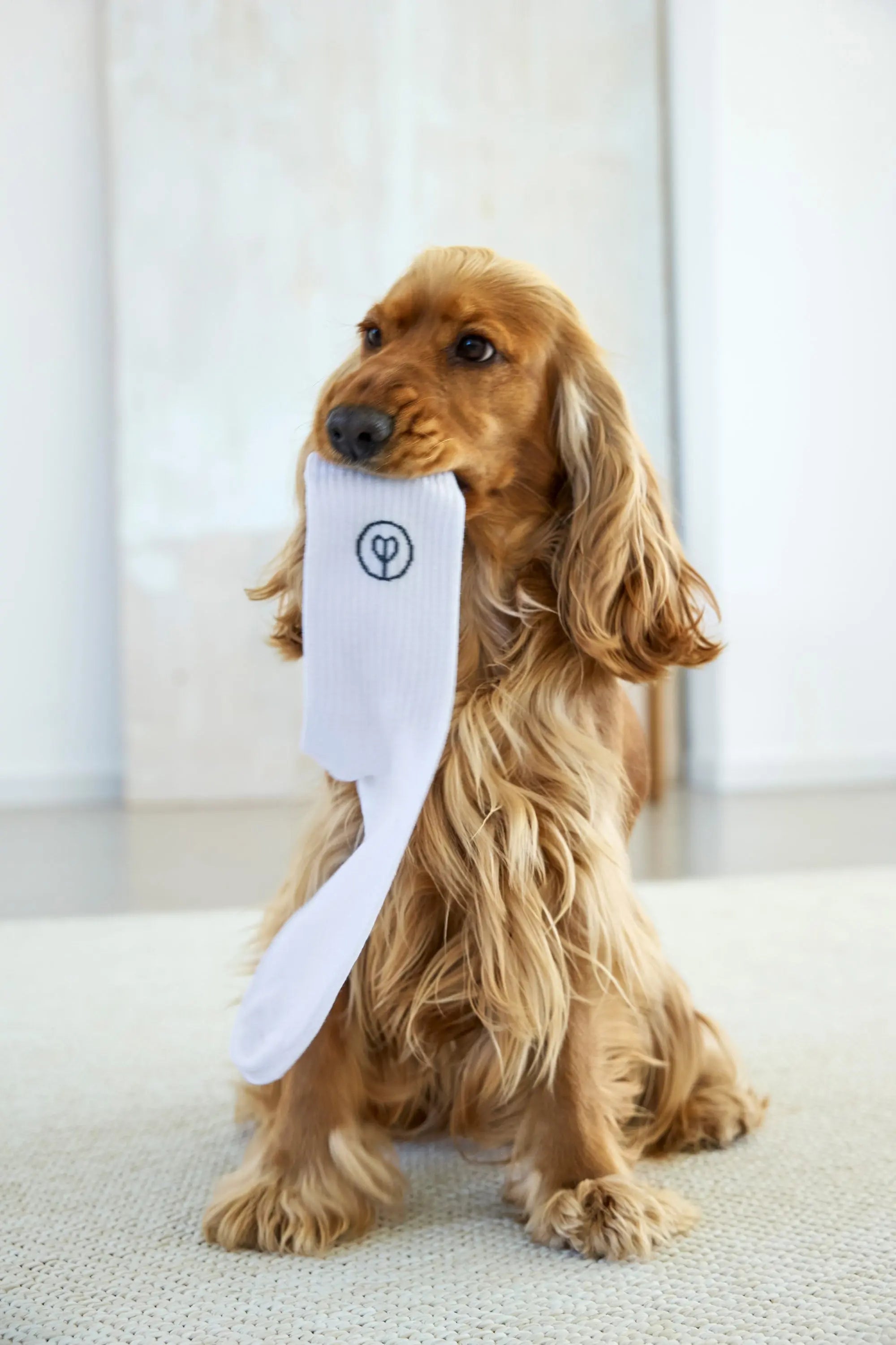 PALOPA Tennis Socken 3er Set - Logo, Orange Blue Grey