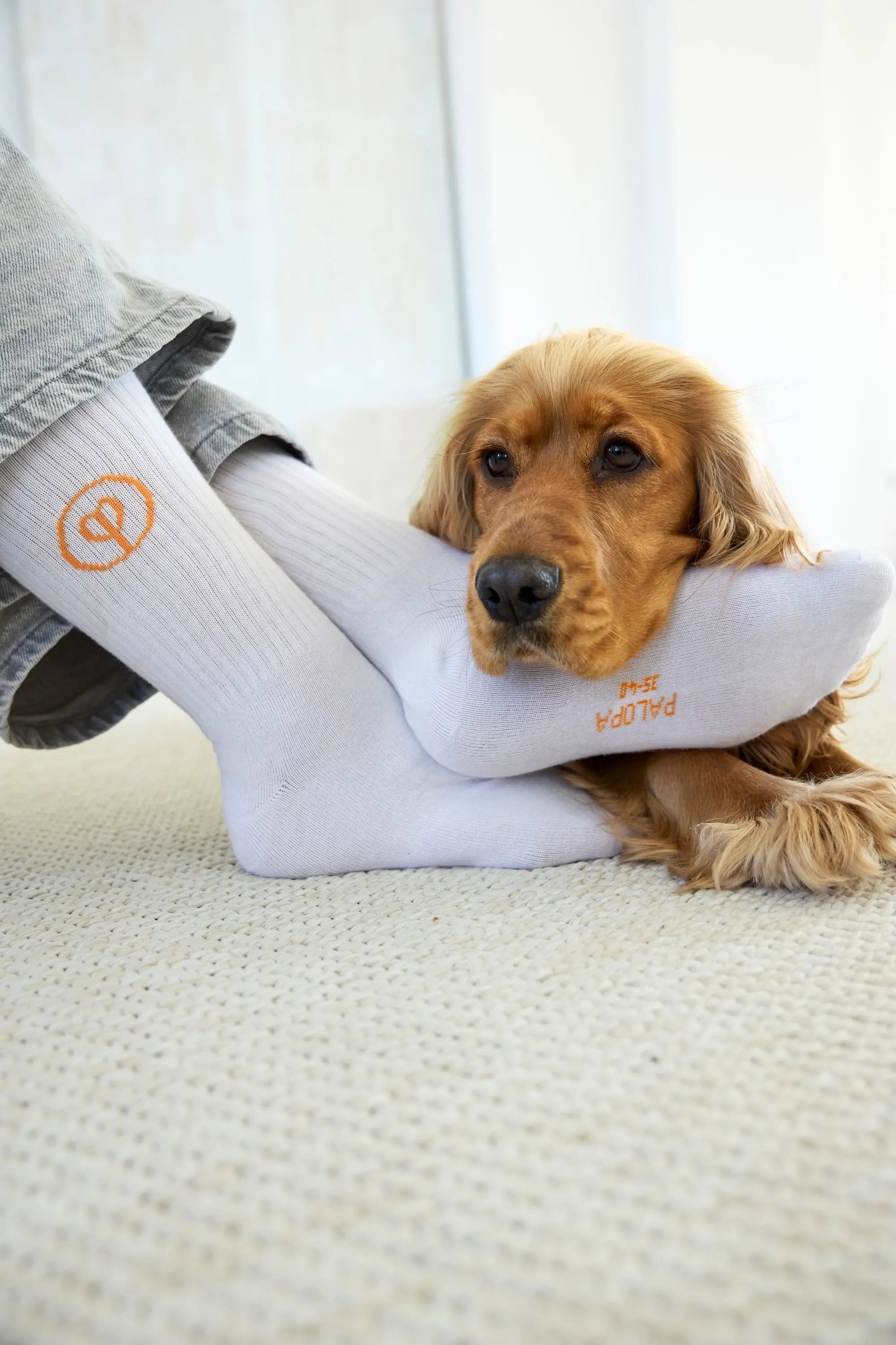 PALOPA Tennis Socken 3er Set - Logo, Orange Blue Grey