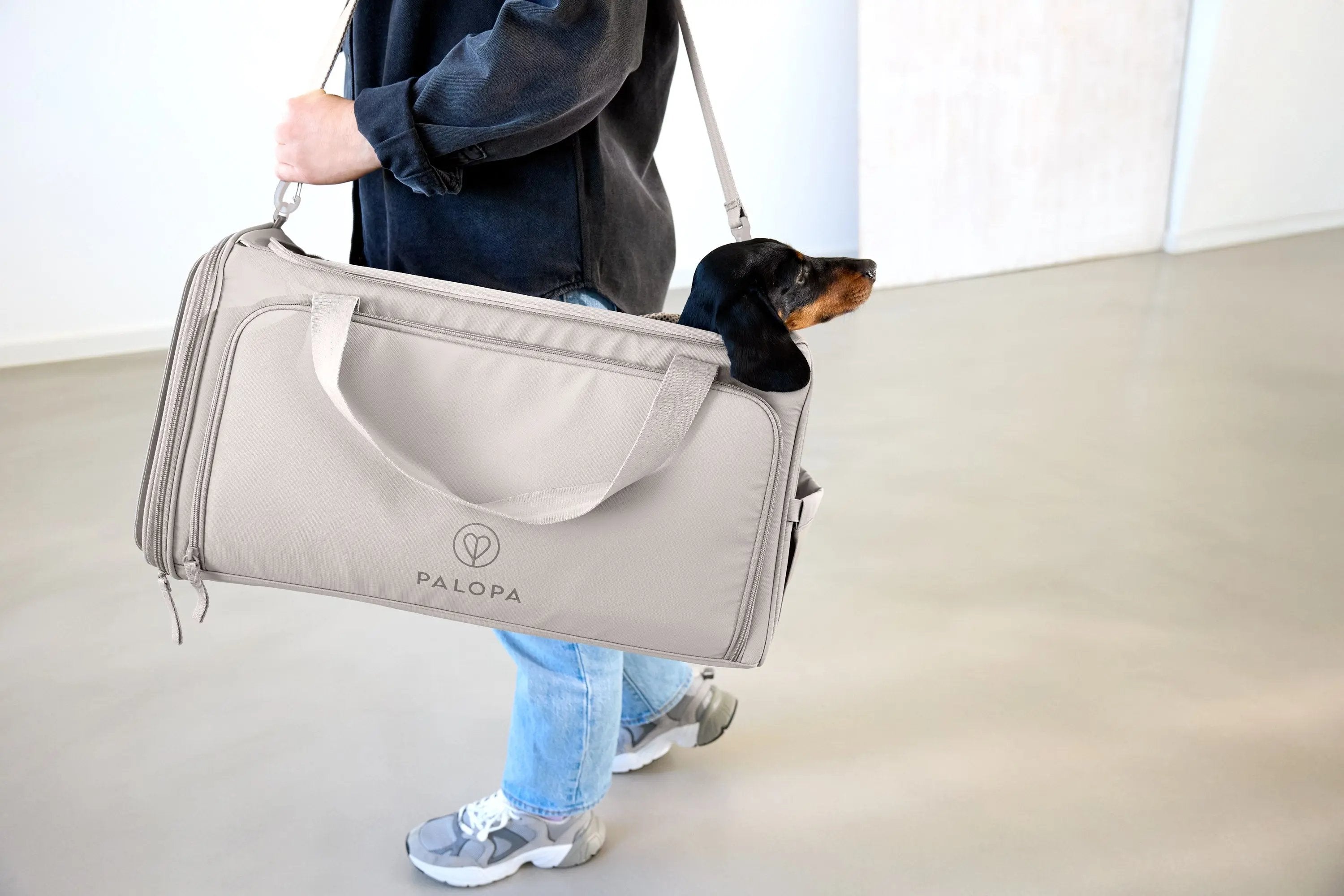 Hundetragetasche - Benno, Taupe