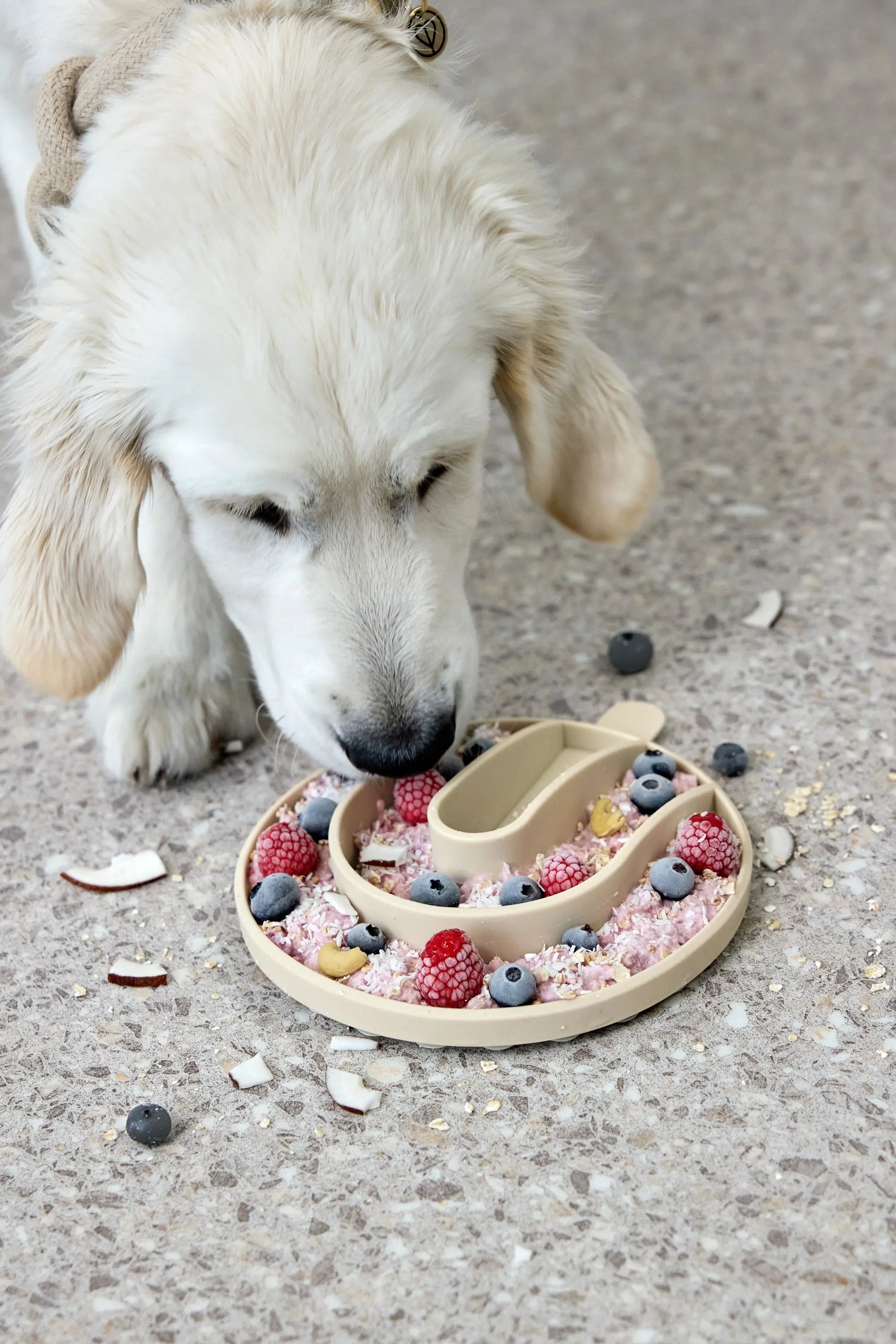 Anti-Schling-Einsatz Hundenapf, Hellgrau Lässig