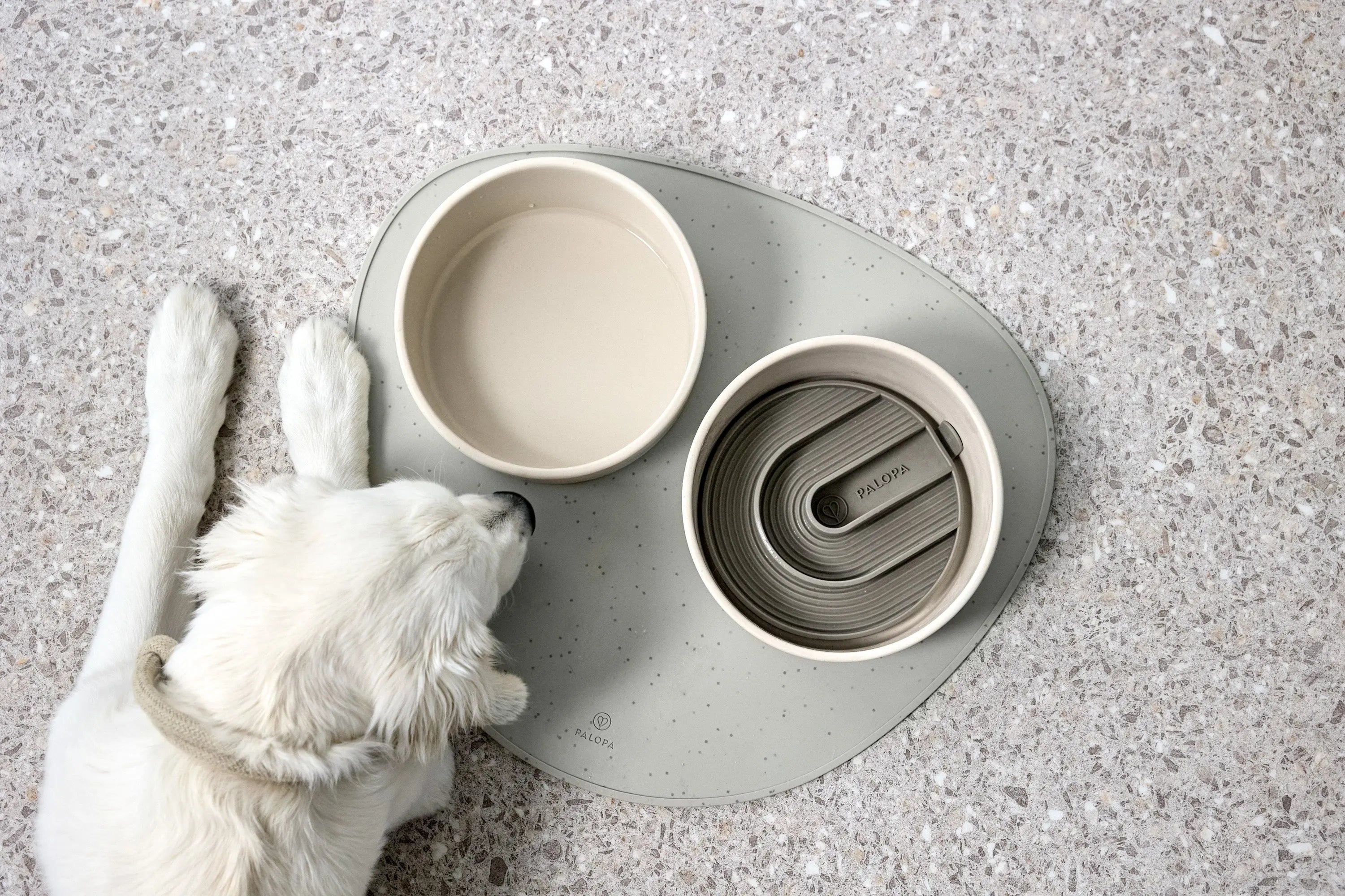 Anti-Schling-Einsatz Hundenapf, Taupe Lässig