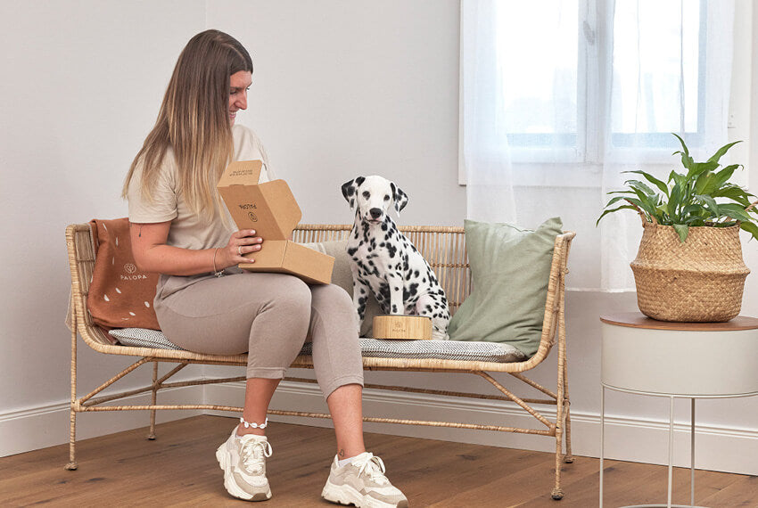 Hund auf Bank mit Napf