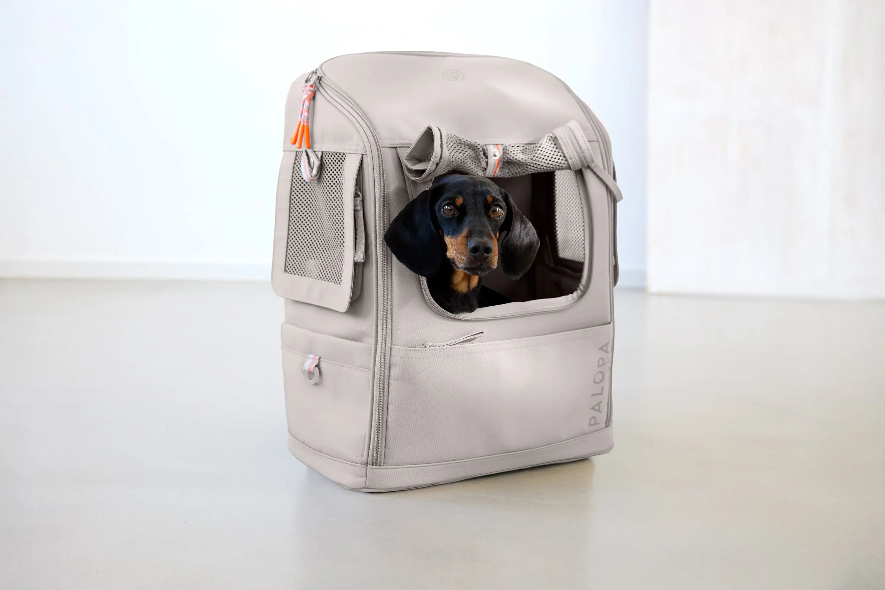 Hundetragerucksack - Kari, Taupe