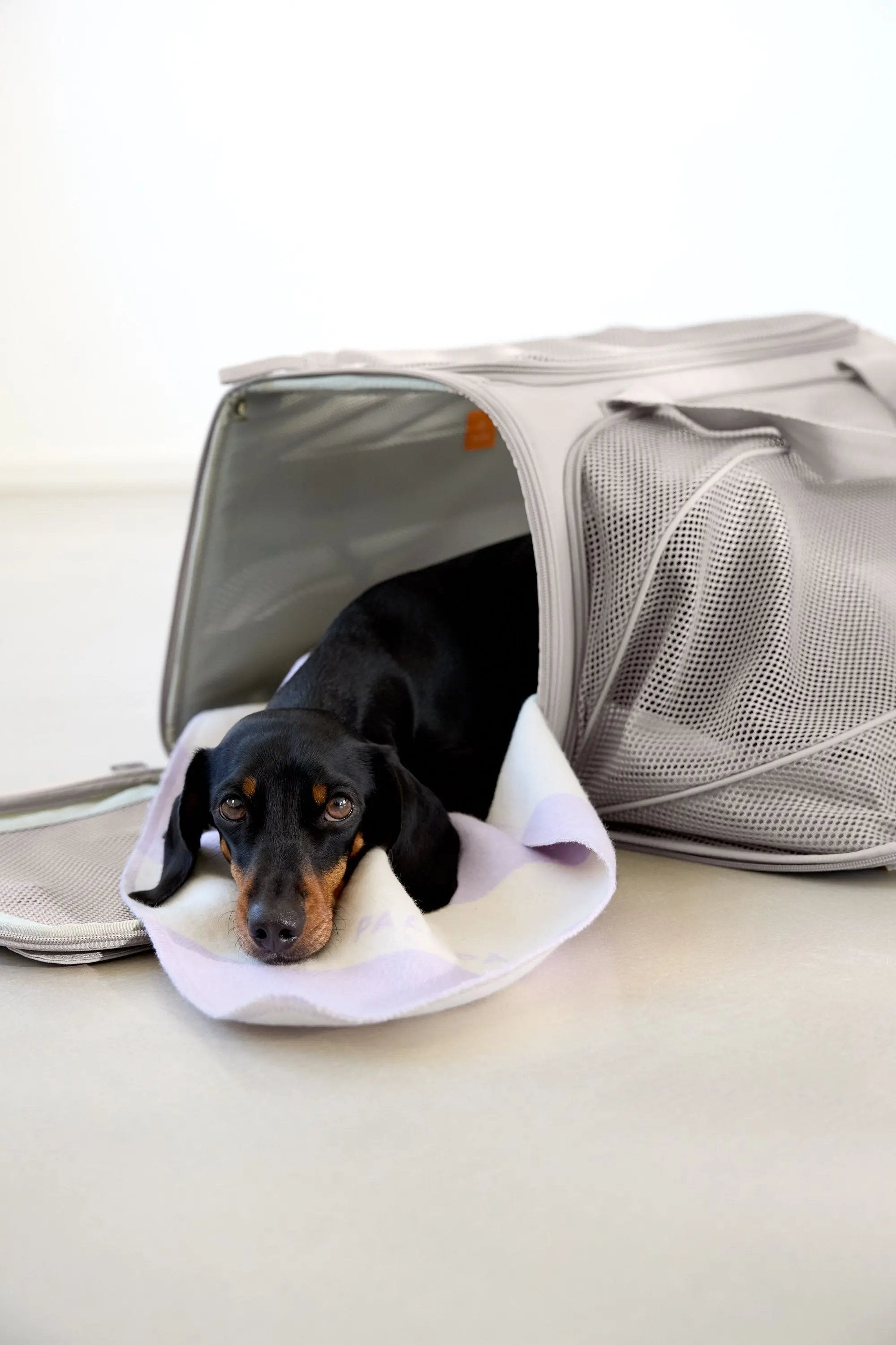 Hundetragetasche - Benno, Taupe