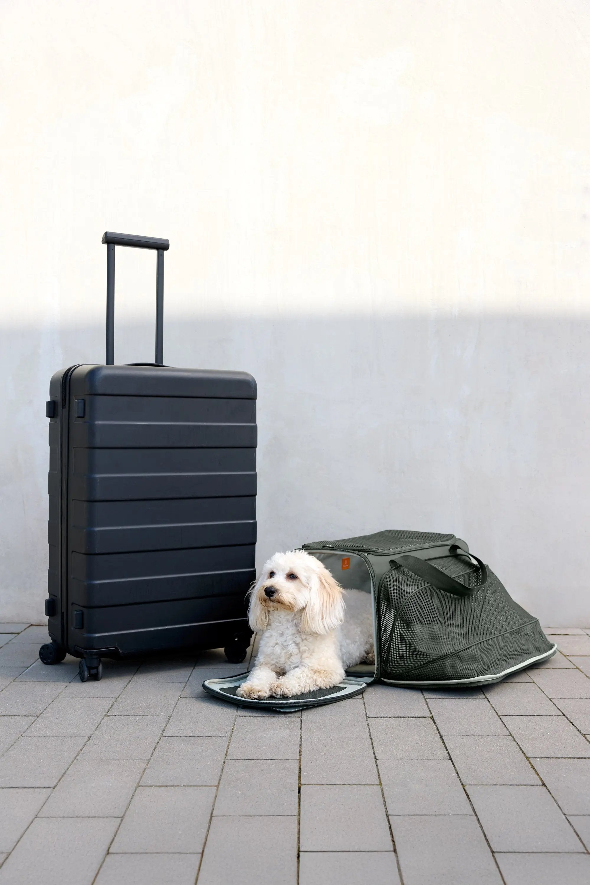 Hundetragetasche - Benno, Dunkelgrün