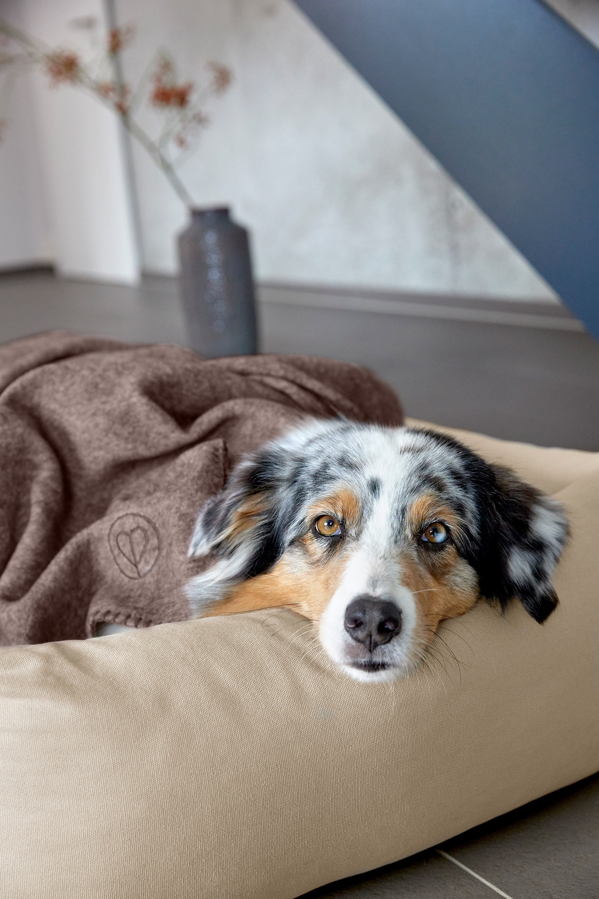 Hundedecke M - Mathilda, Walnuss