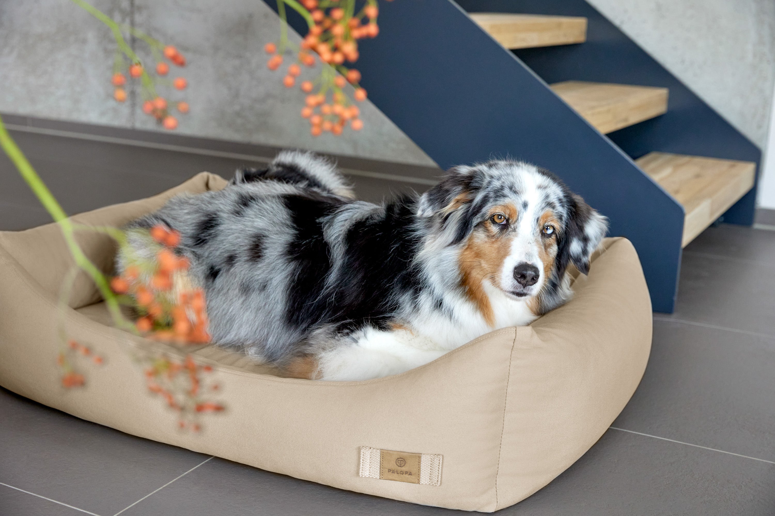 Hundebett Baumwolle - Fred, Humus