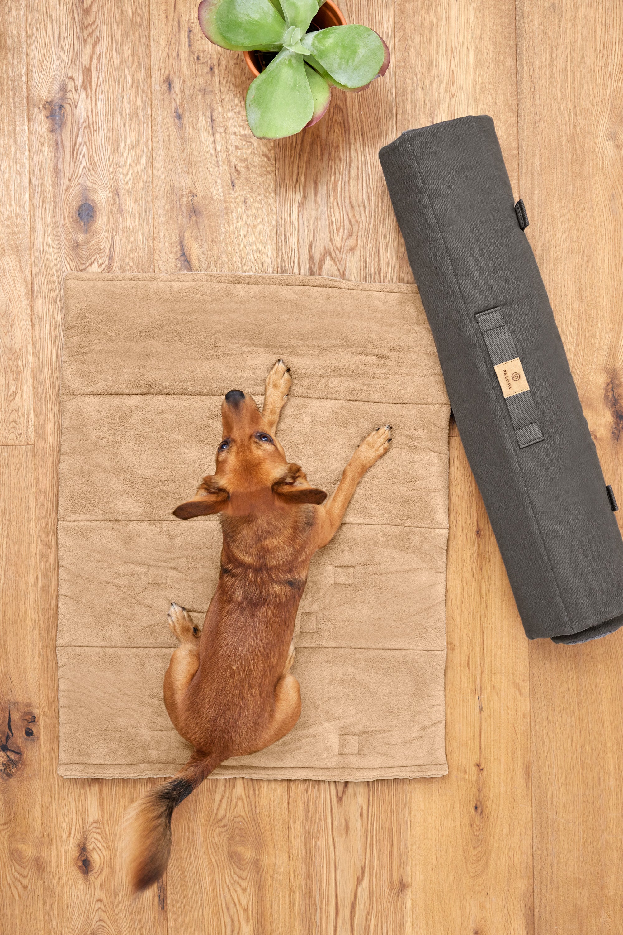 Dog mat - Alma, Humus