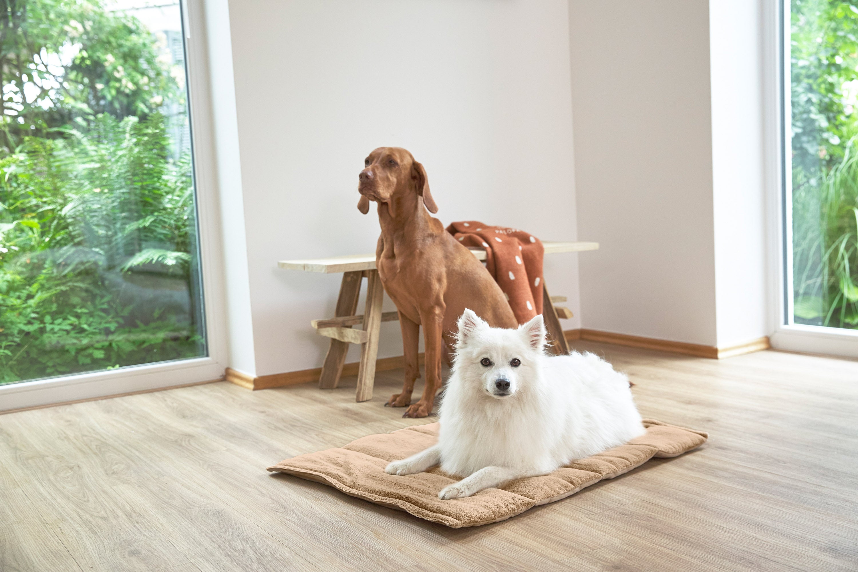 Dog mat - Alma, Humus