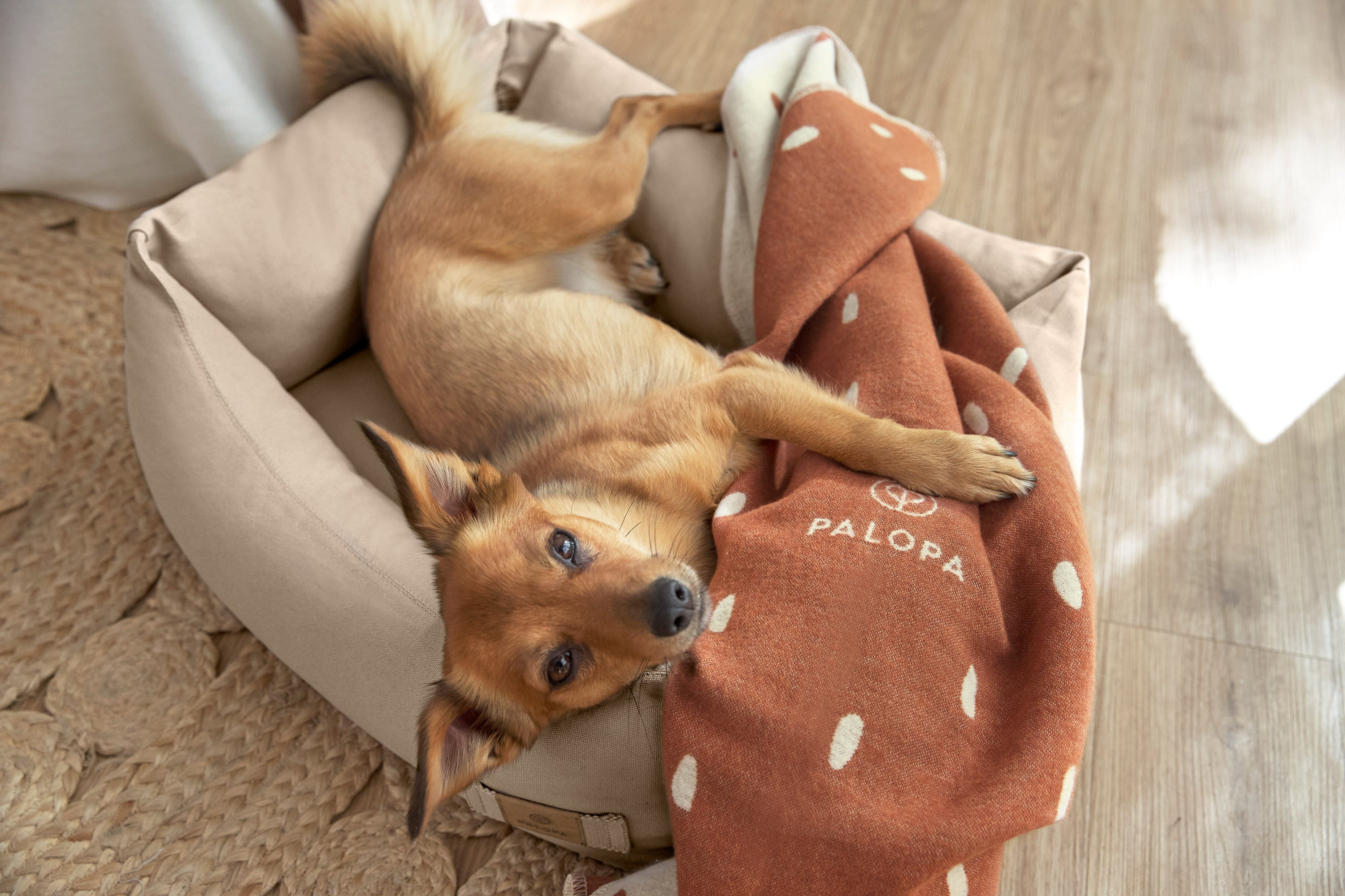 Hundebett Baumwolle - Fred, Humus