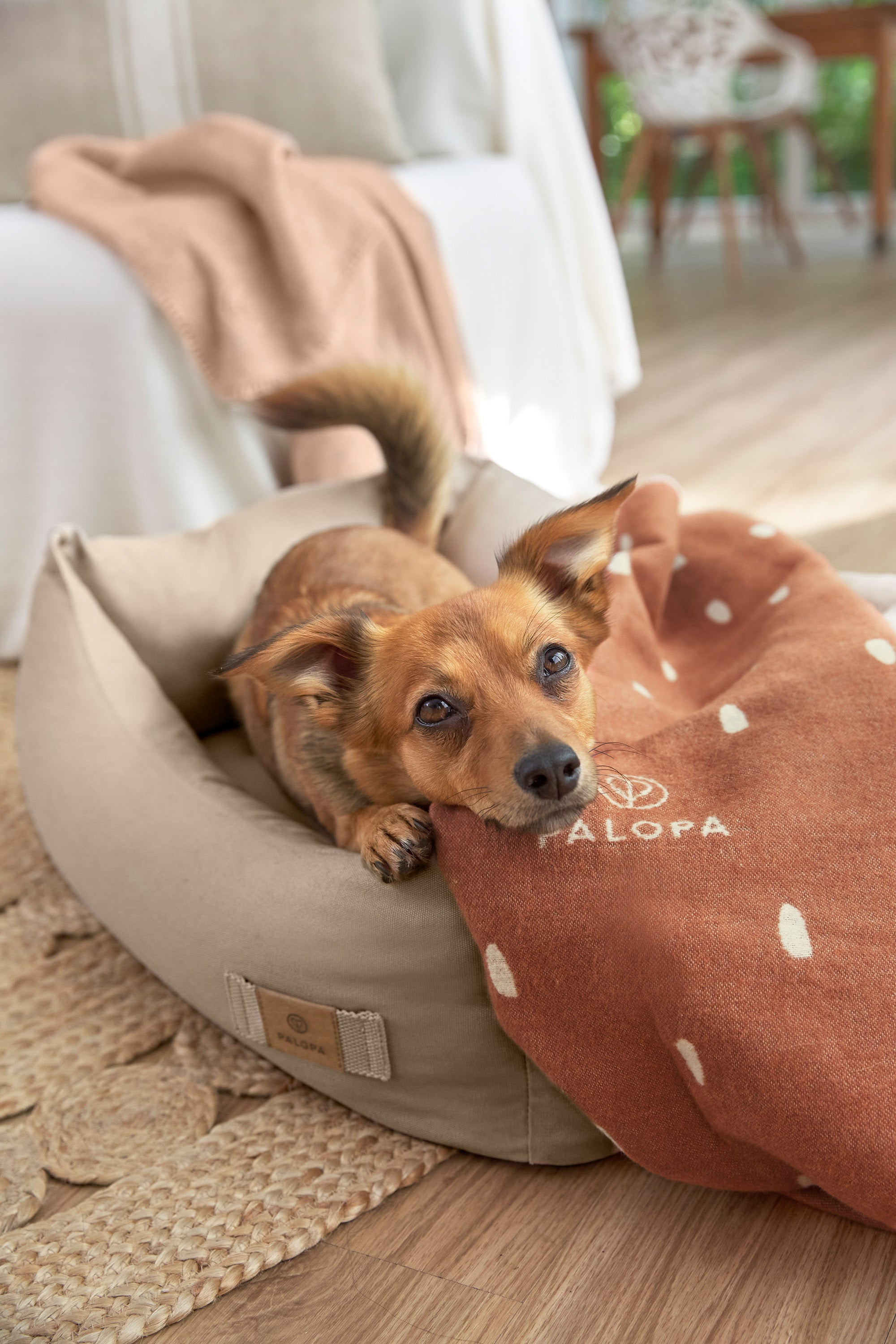 Hundedecke M - Ida, Punkte Zimt Milchig