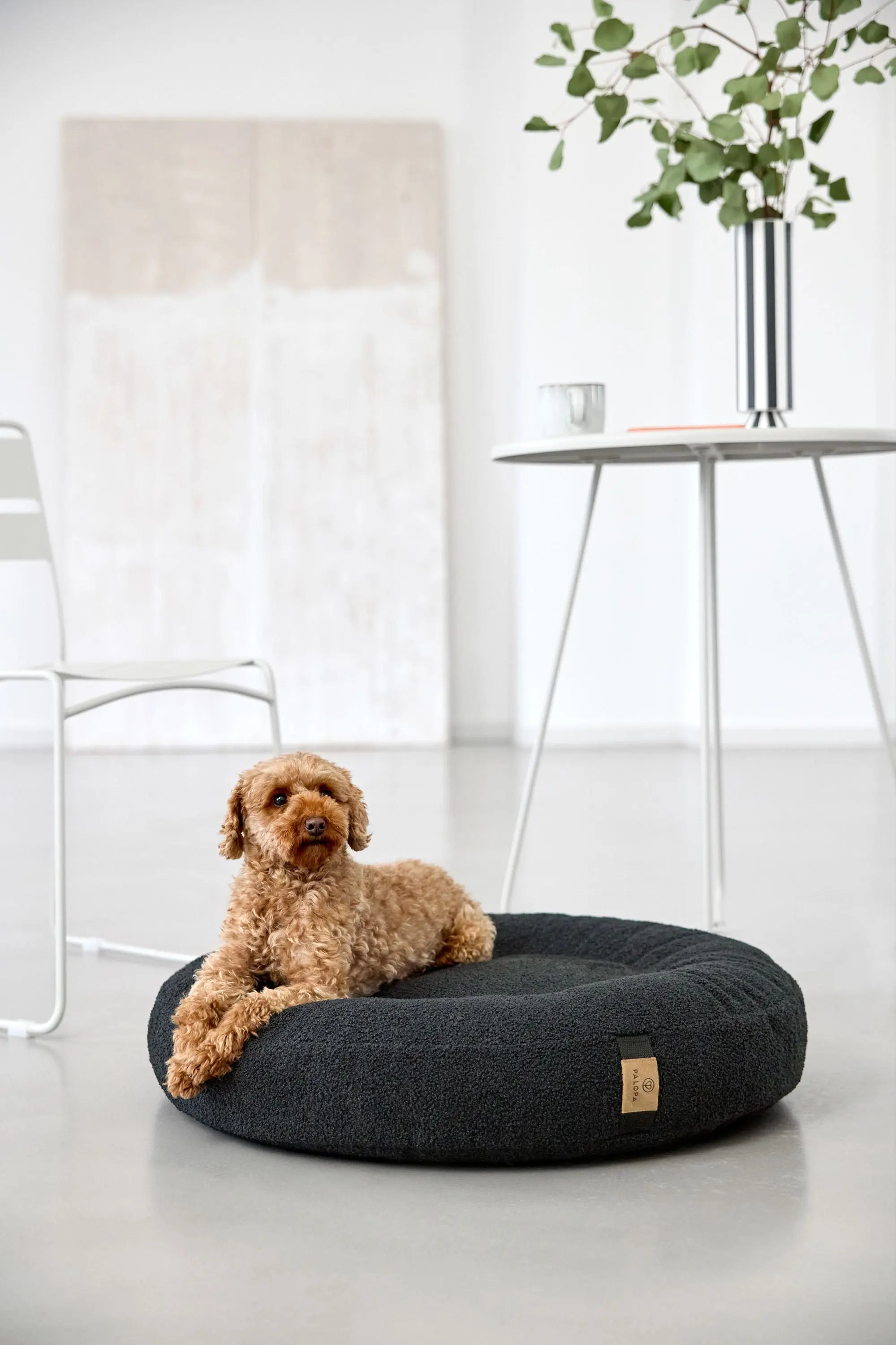 Hundebett Rund - Fippa, Schwarz