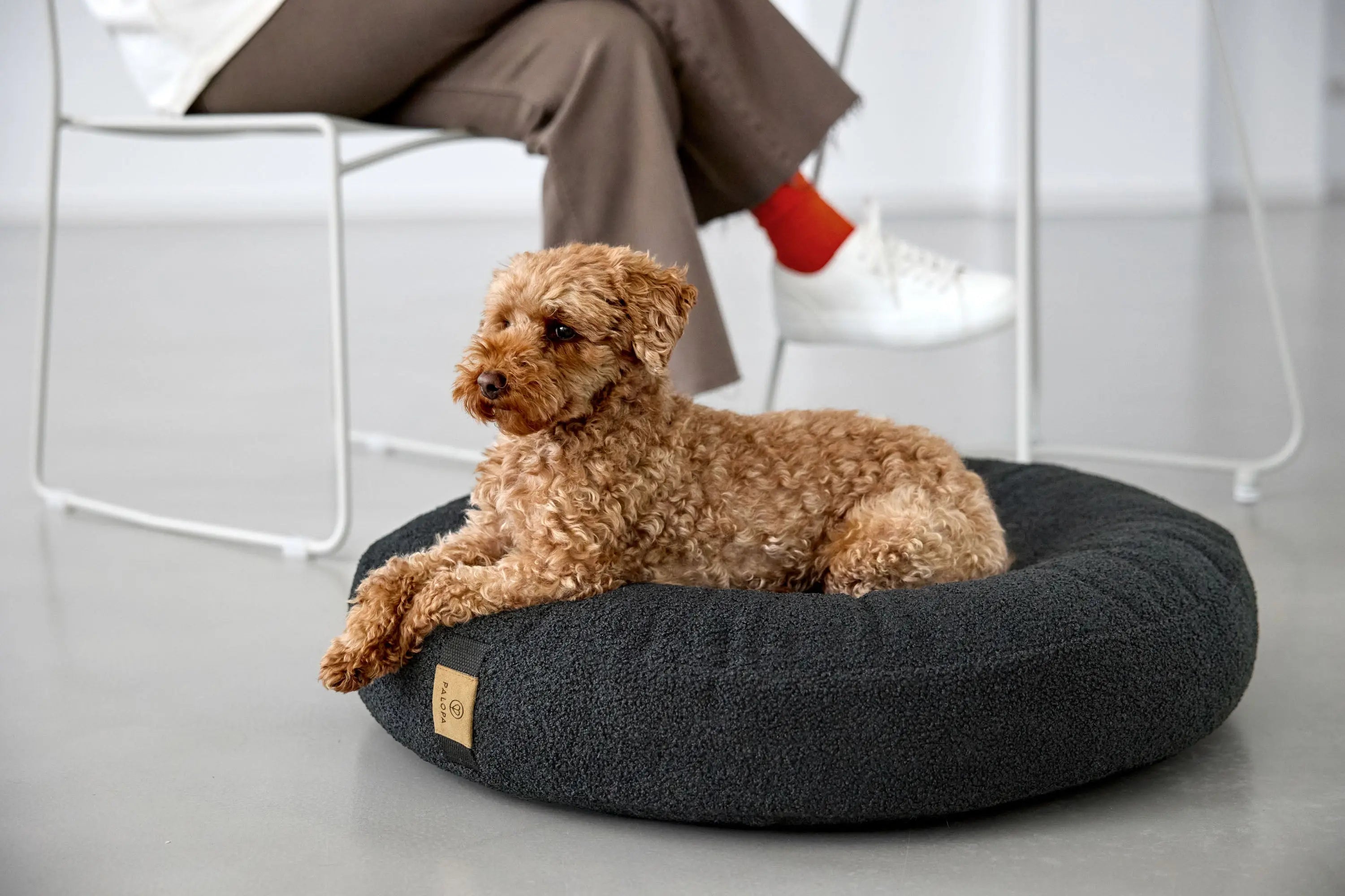 Hundebett Rund - Fippa, Schwarz