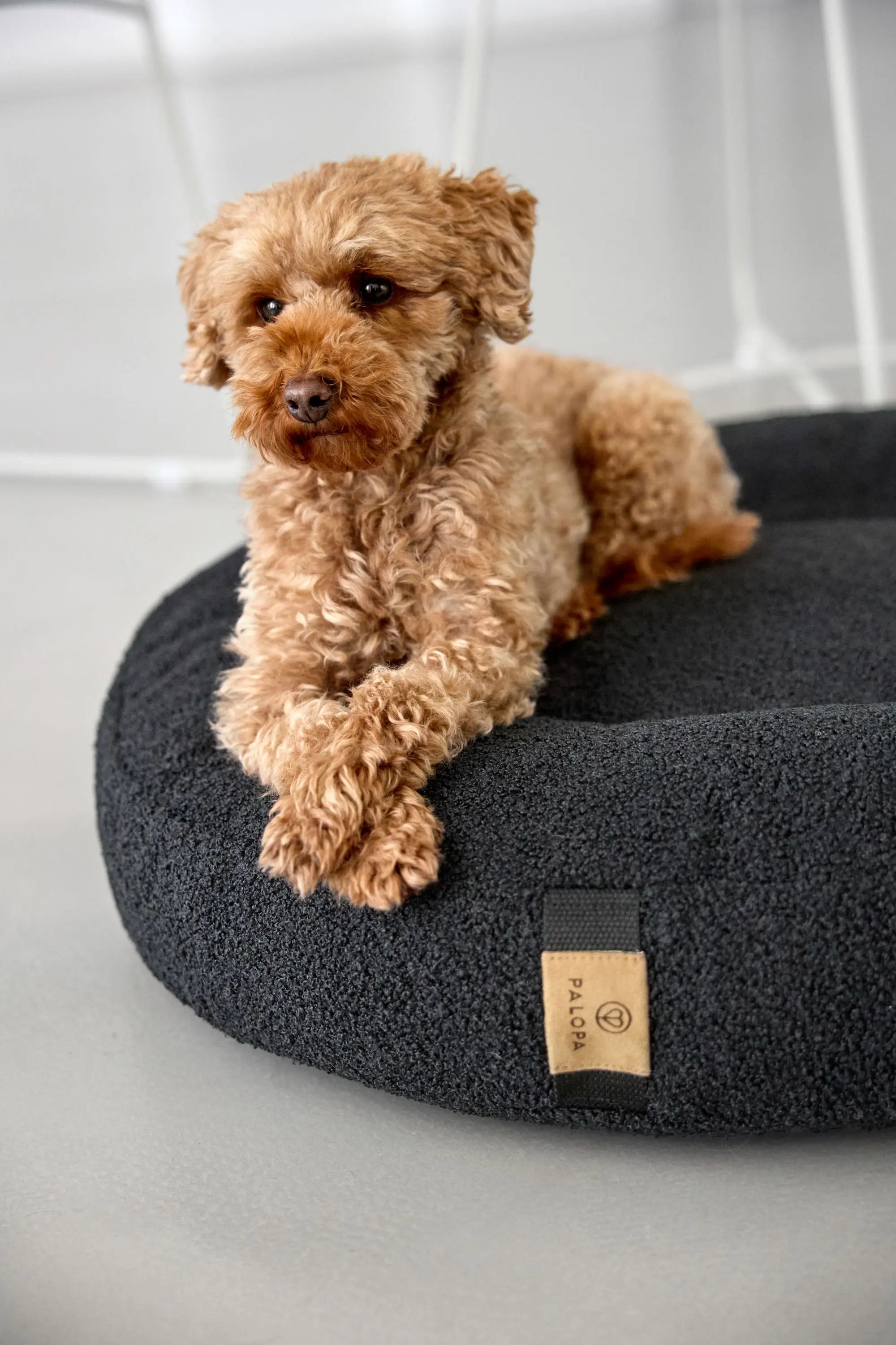 Hundebett Rund - Fippa, Schwarz