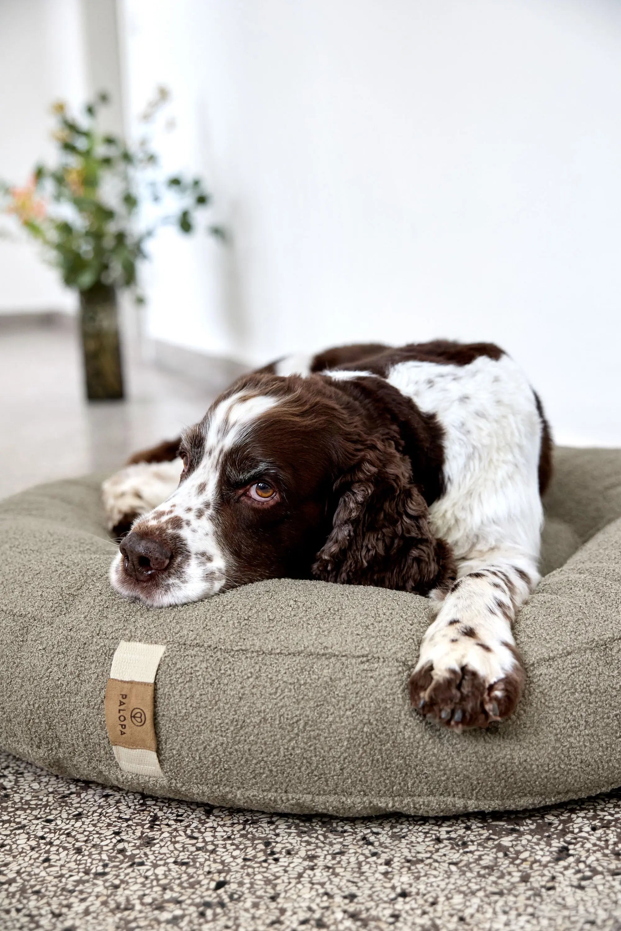 Dog bed round - Fippa, taupe