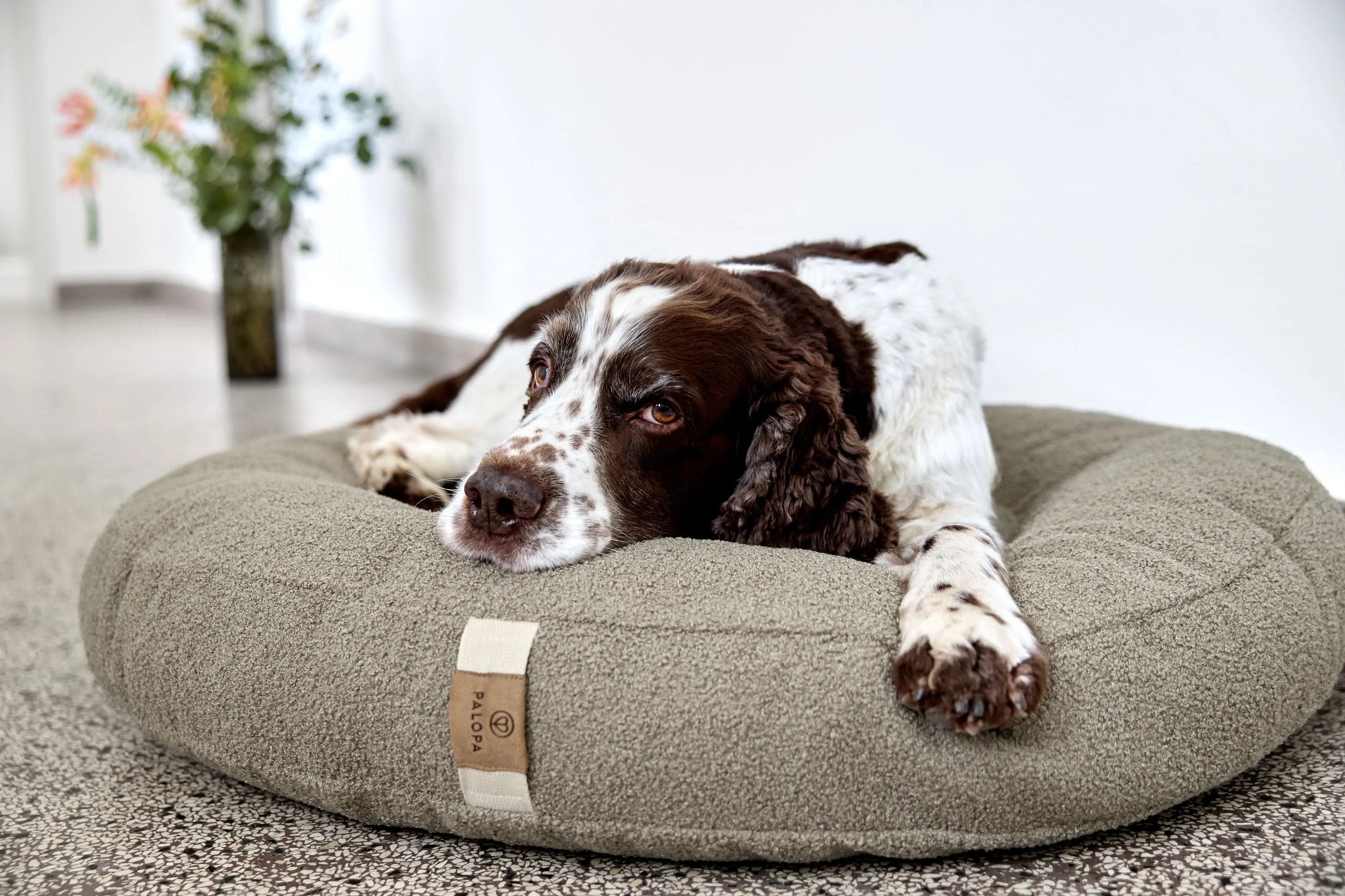 Hundebett Rund - Fippa, Grau