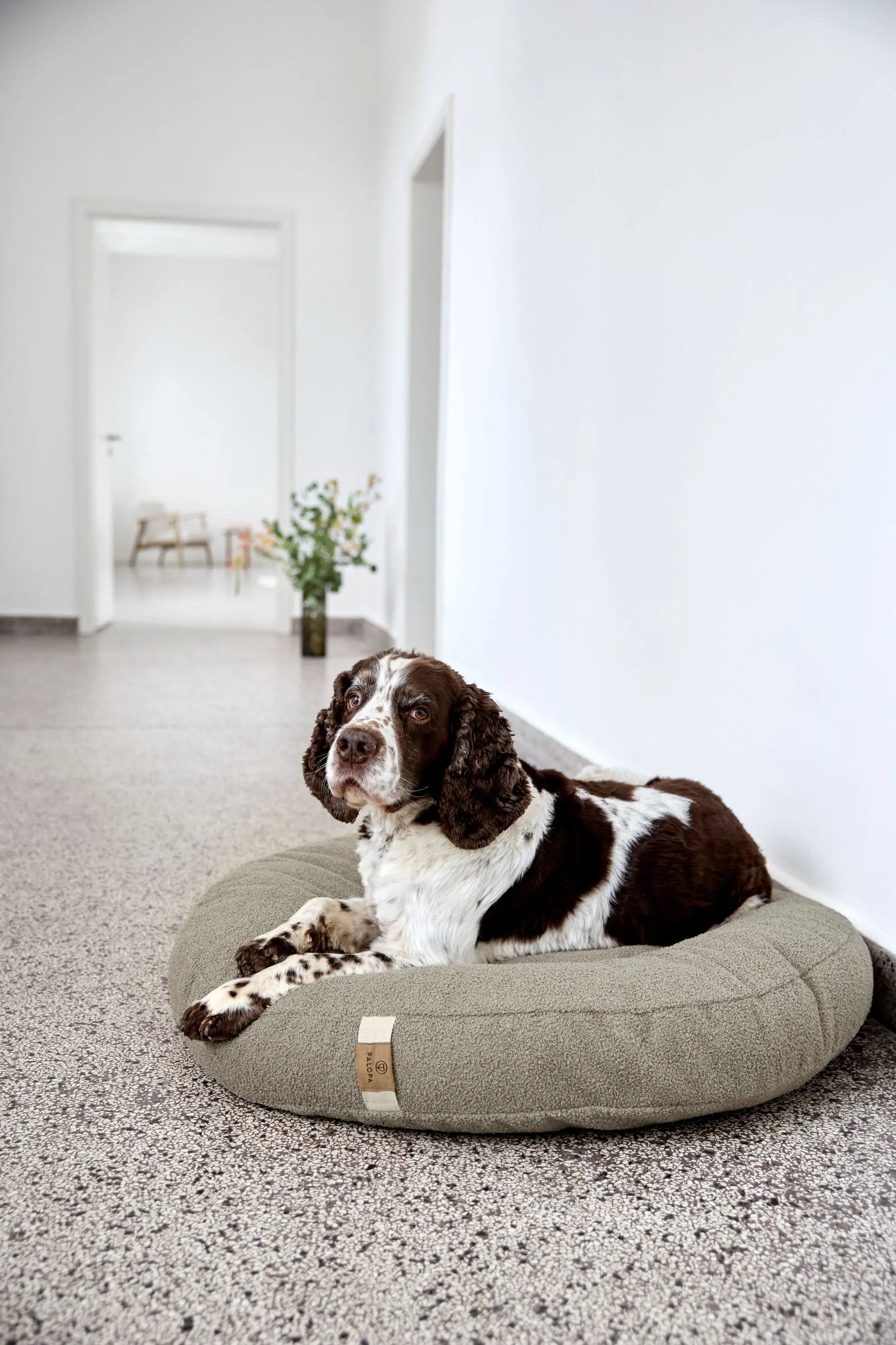 Hundebett Rund - Fippa, Grau