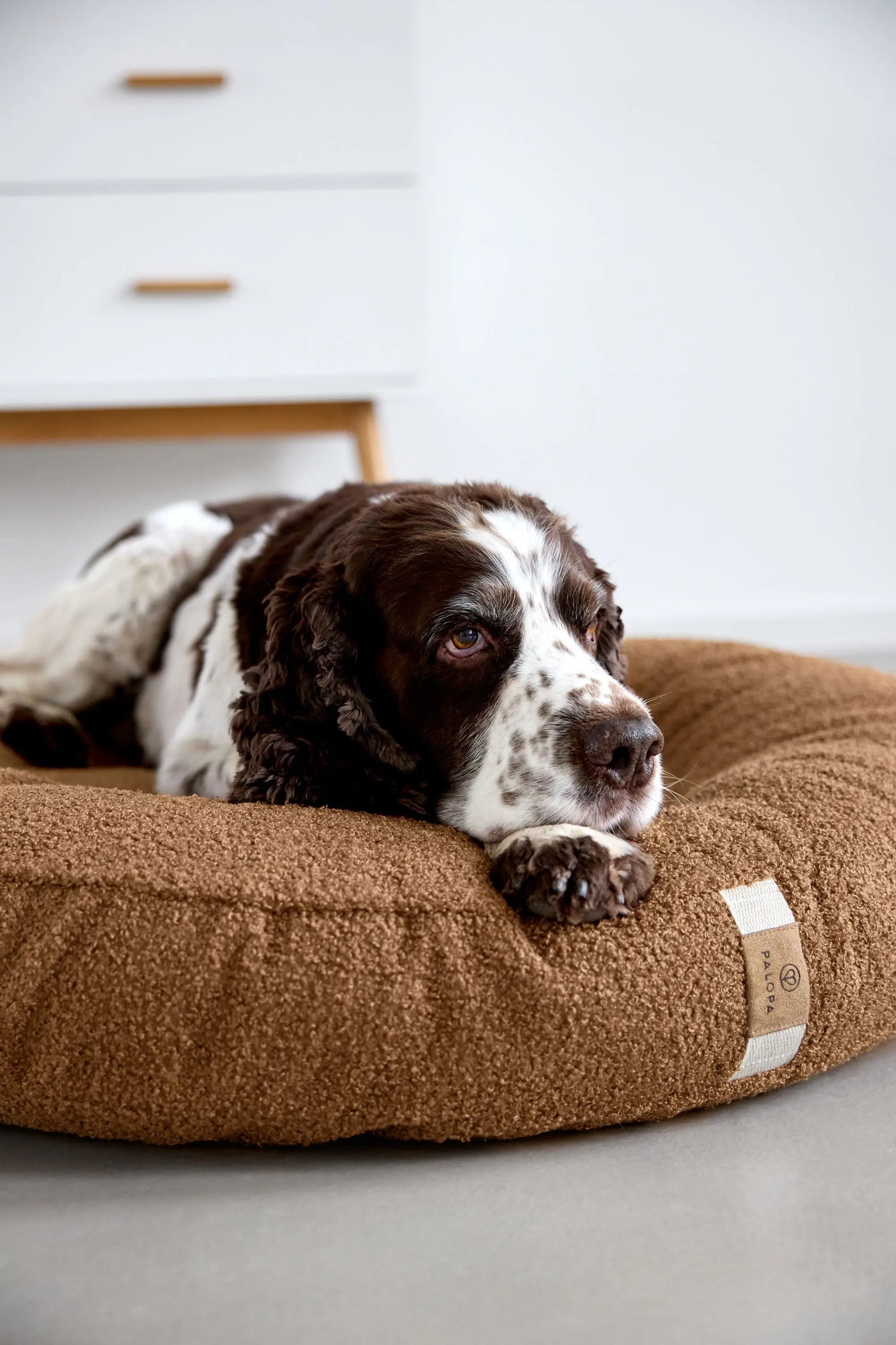 Round Dog Bed - Fippa, Toffee