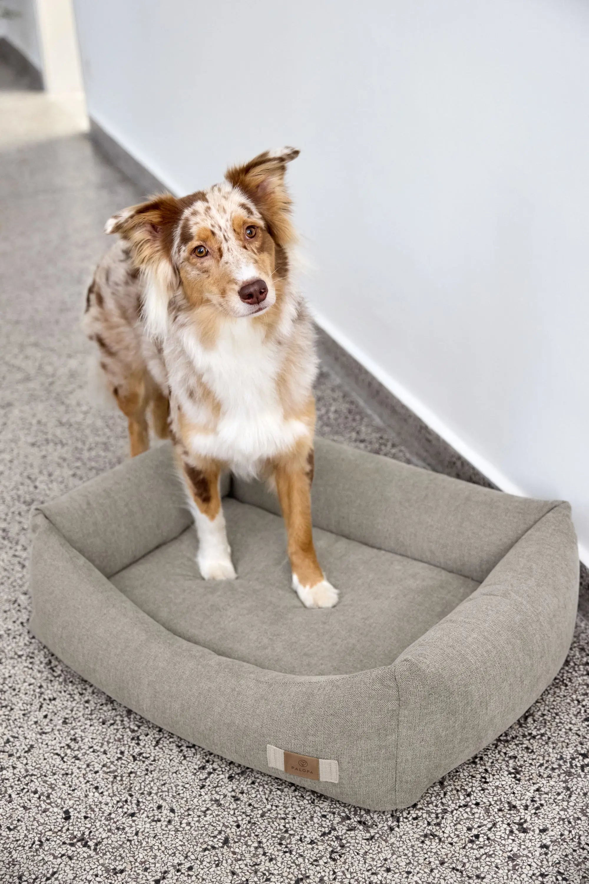 Dog Bed Cotton - Fred, Grey