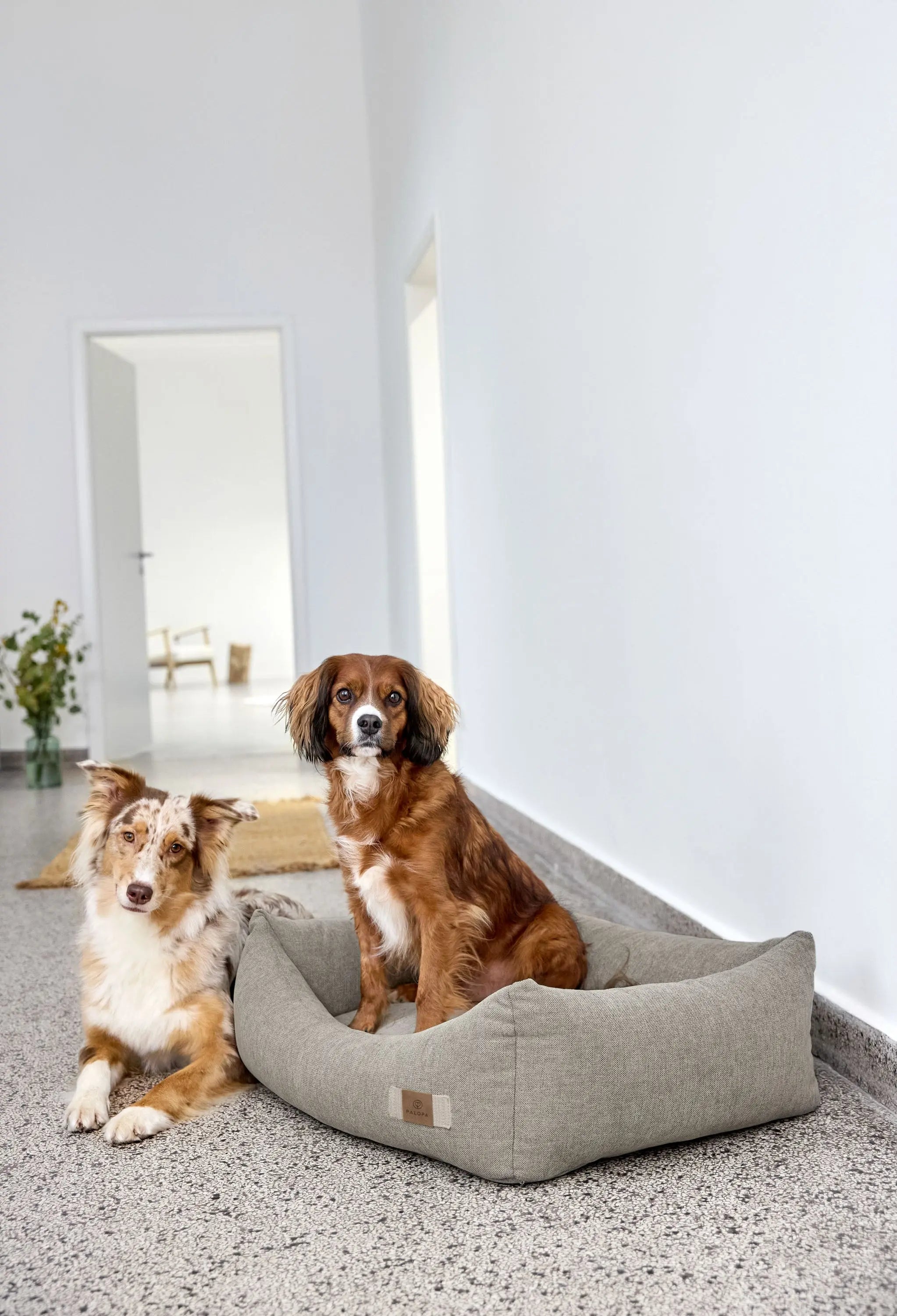 Dog Bed Cotton - Fred, Grey