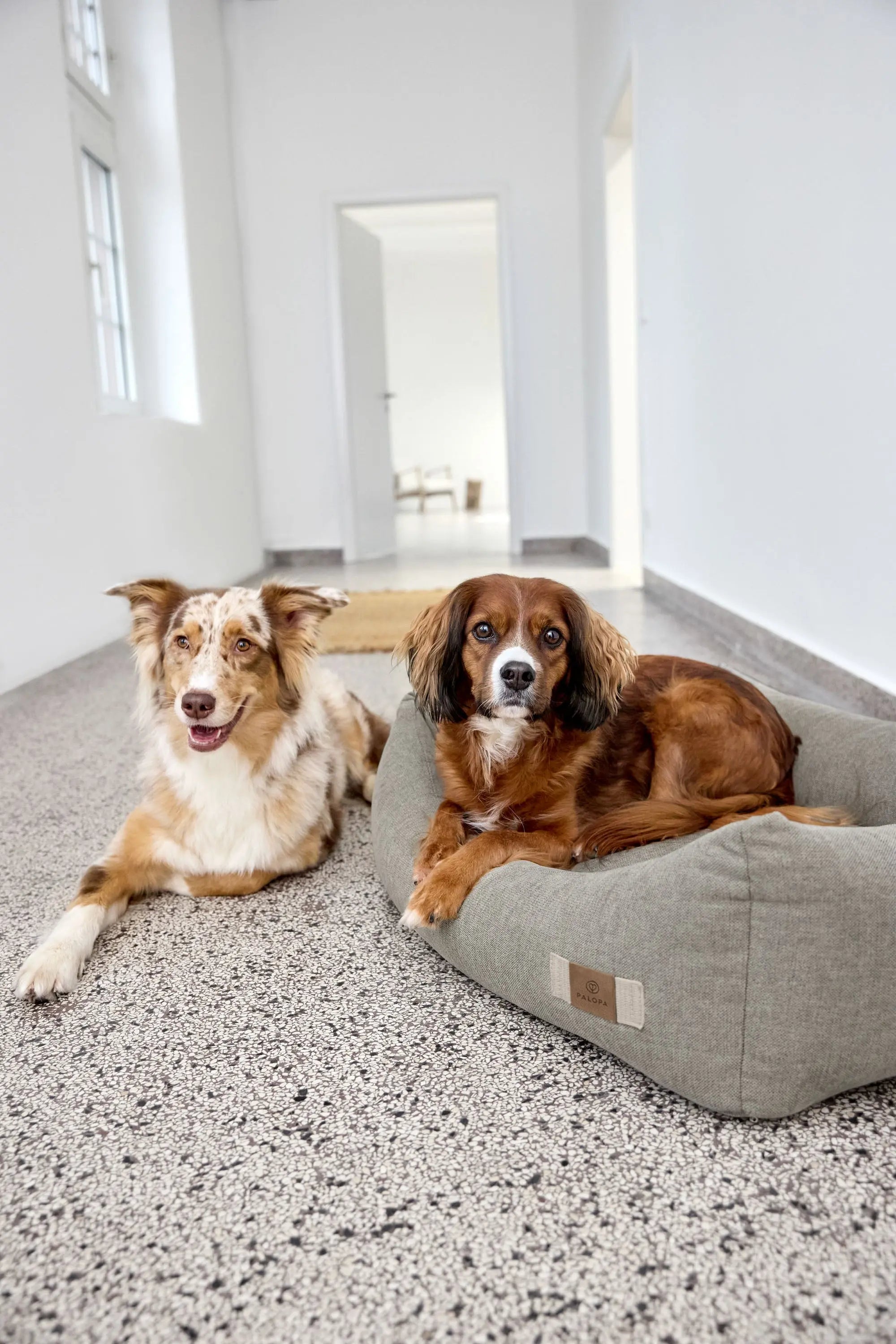 Dog Bed Cotton - Fred, Grey