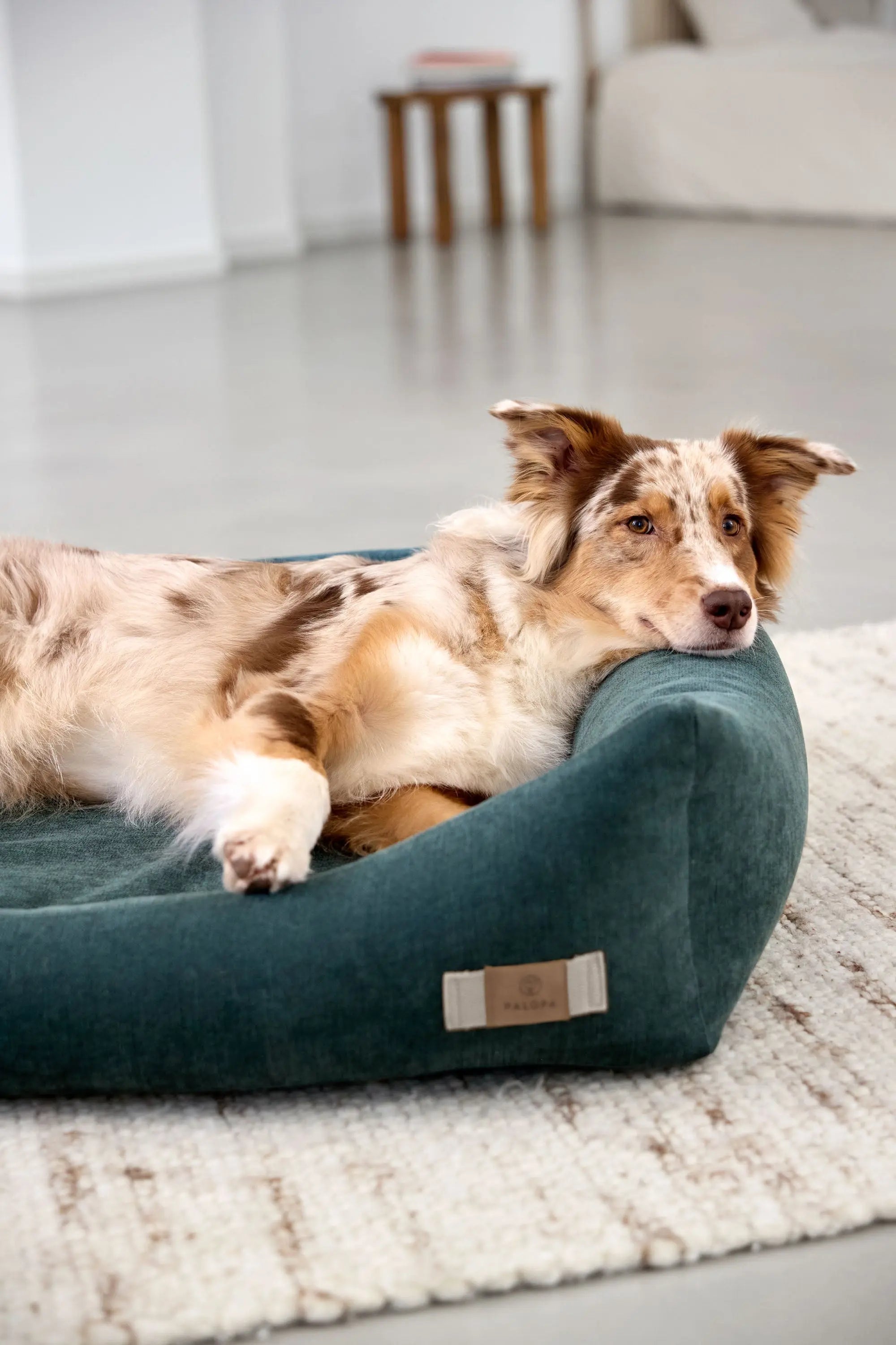 Cotton Dog Bed - Fred, Dark Green