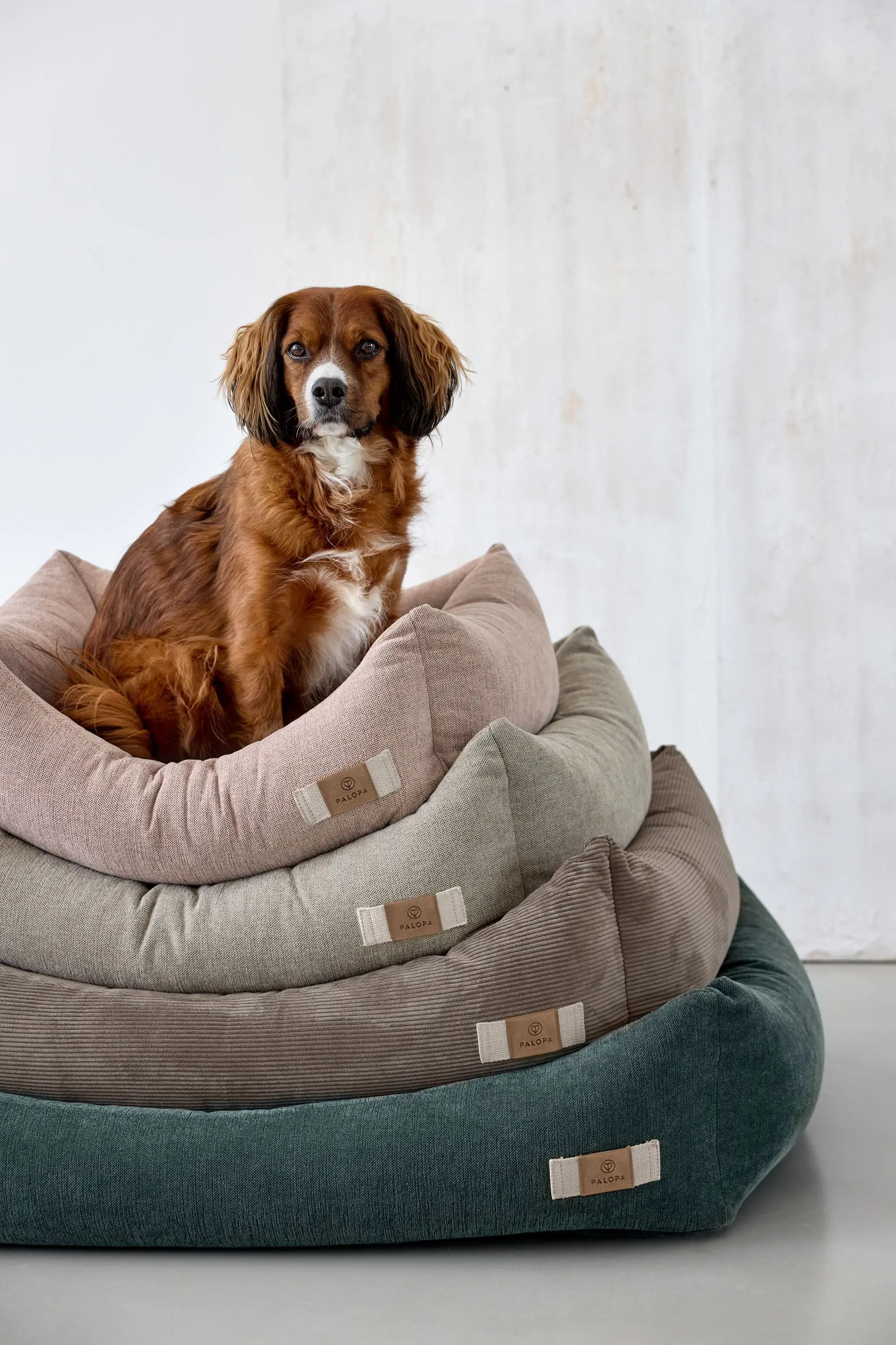 Dog Bed Corduroy - Fred, Brown