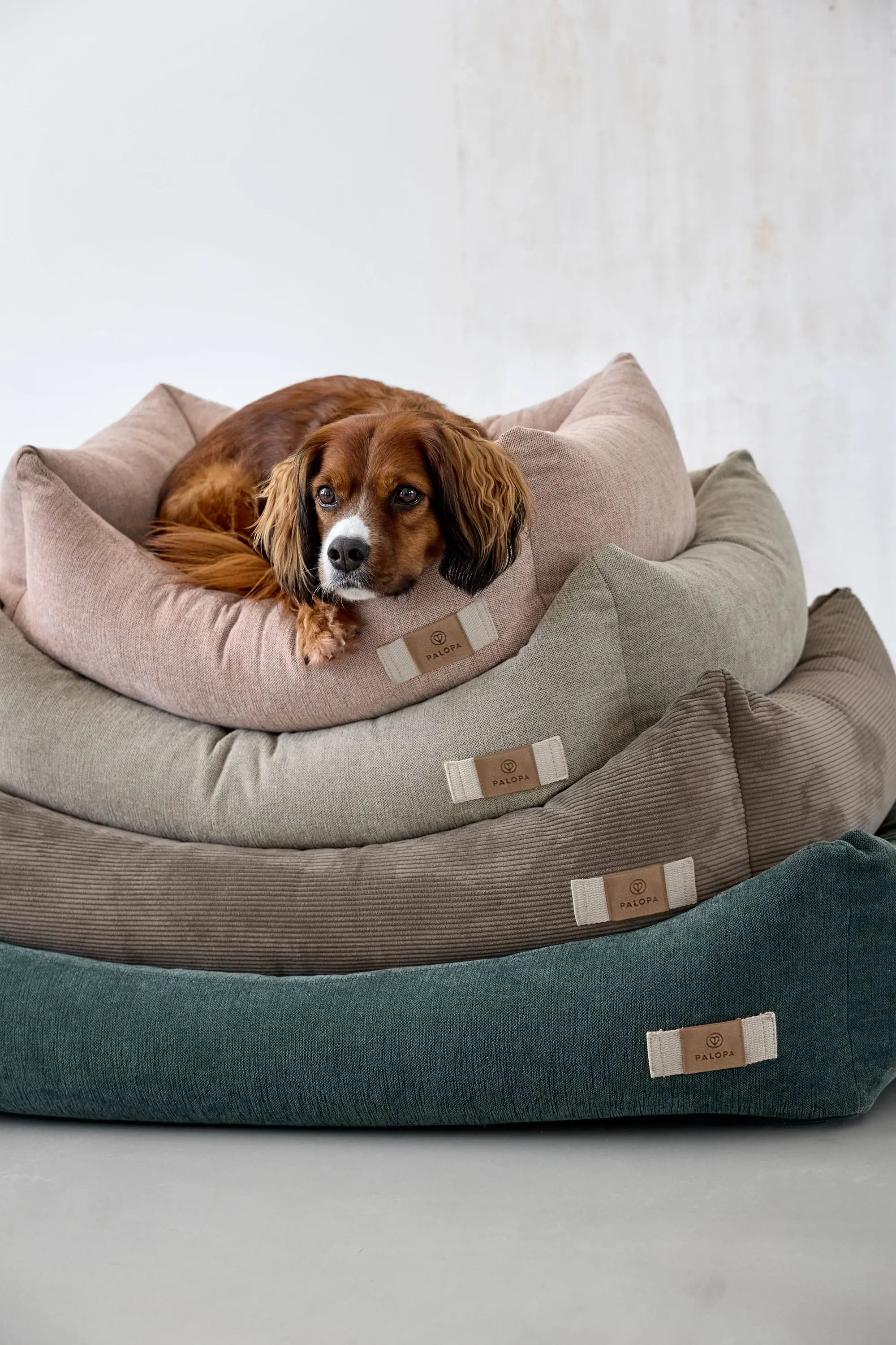 Dog Bed Corduroy - Fred, Grey