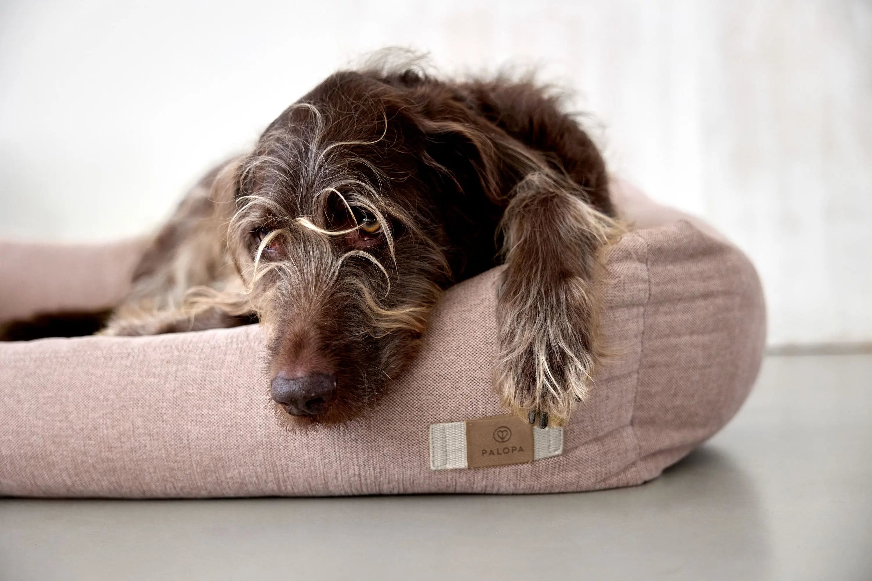 Dog Bed Cotton - Fred, Pink