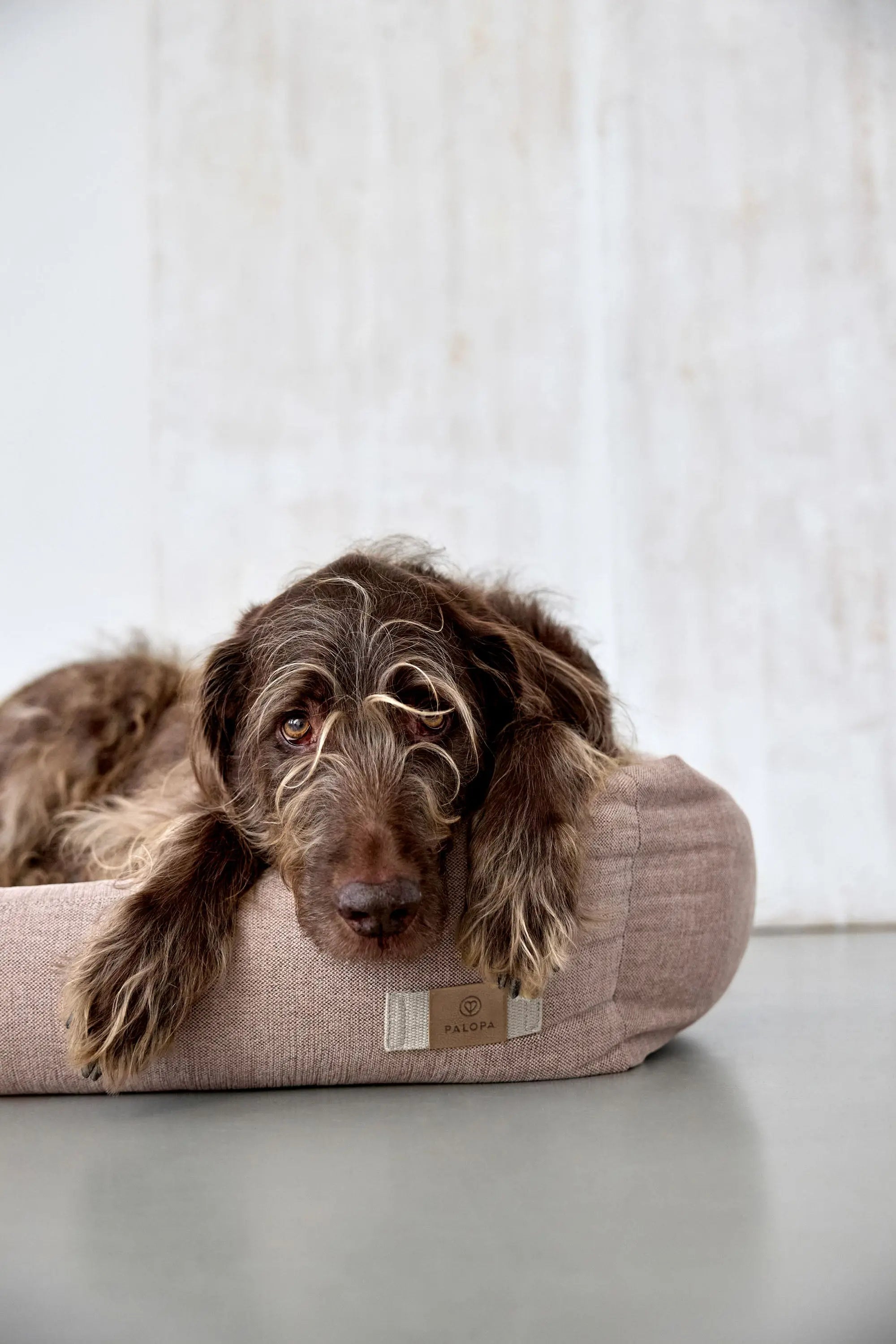 Dog Bed Cotton - Fred, Pink