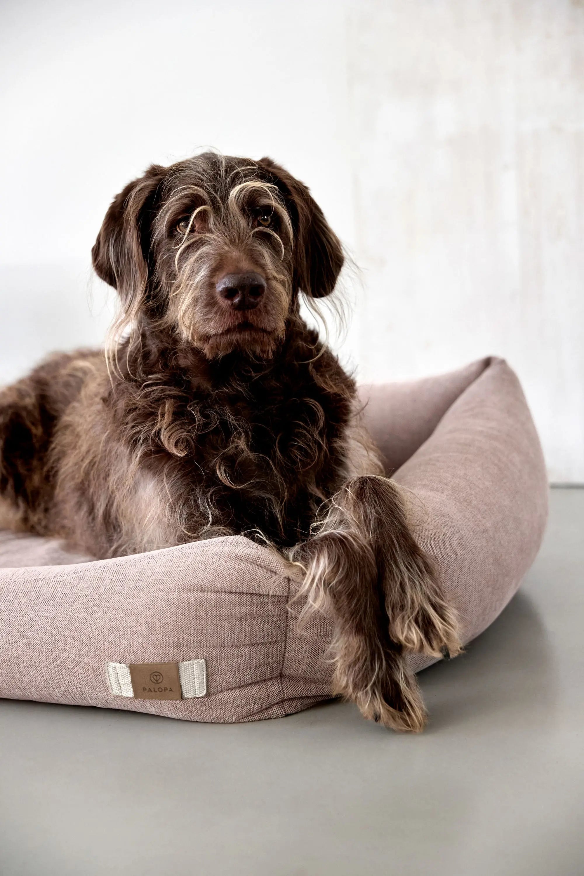 Dog Bed Cotton - Fred, Pink