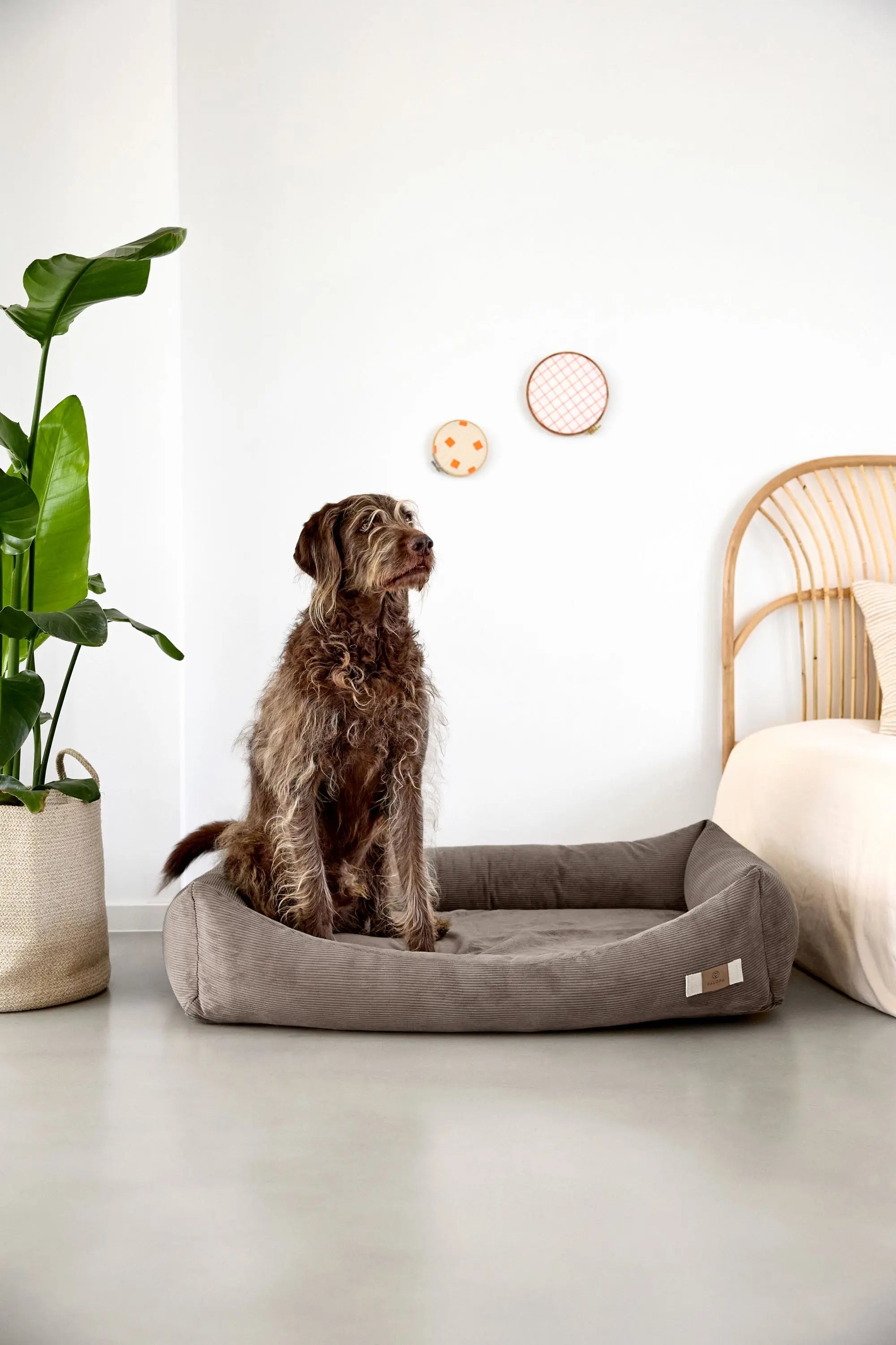 Dog Bed Corduroy - Fred, Brown
