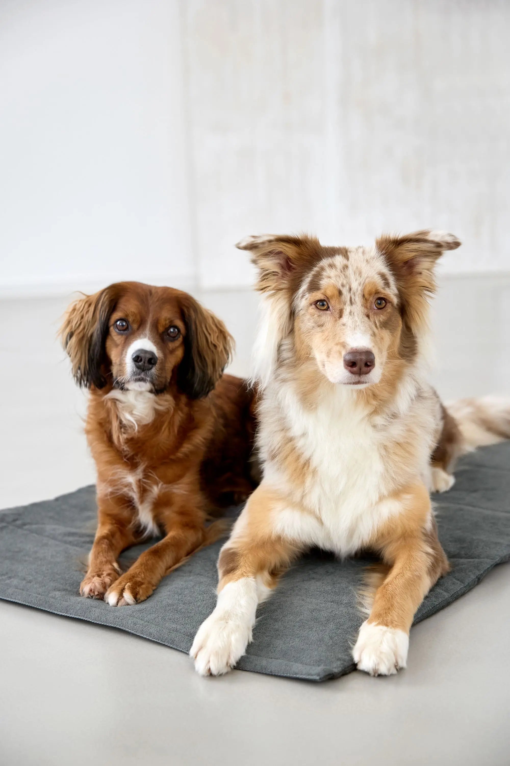 Dog mat - Alma, anthracite