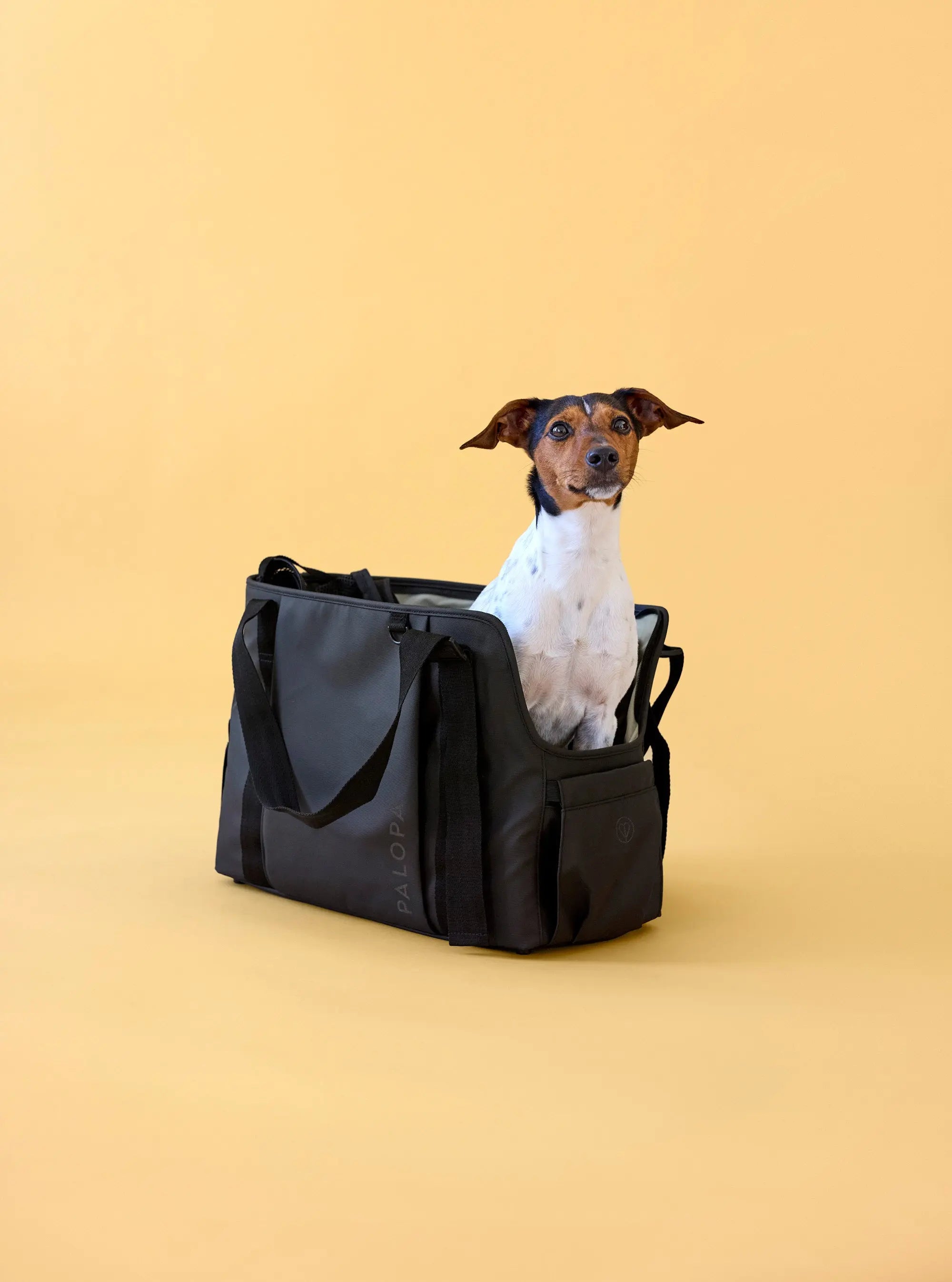 Hundetasche - Weda, Schwarz