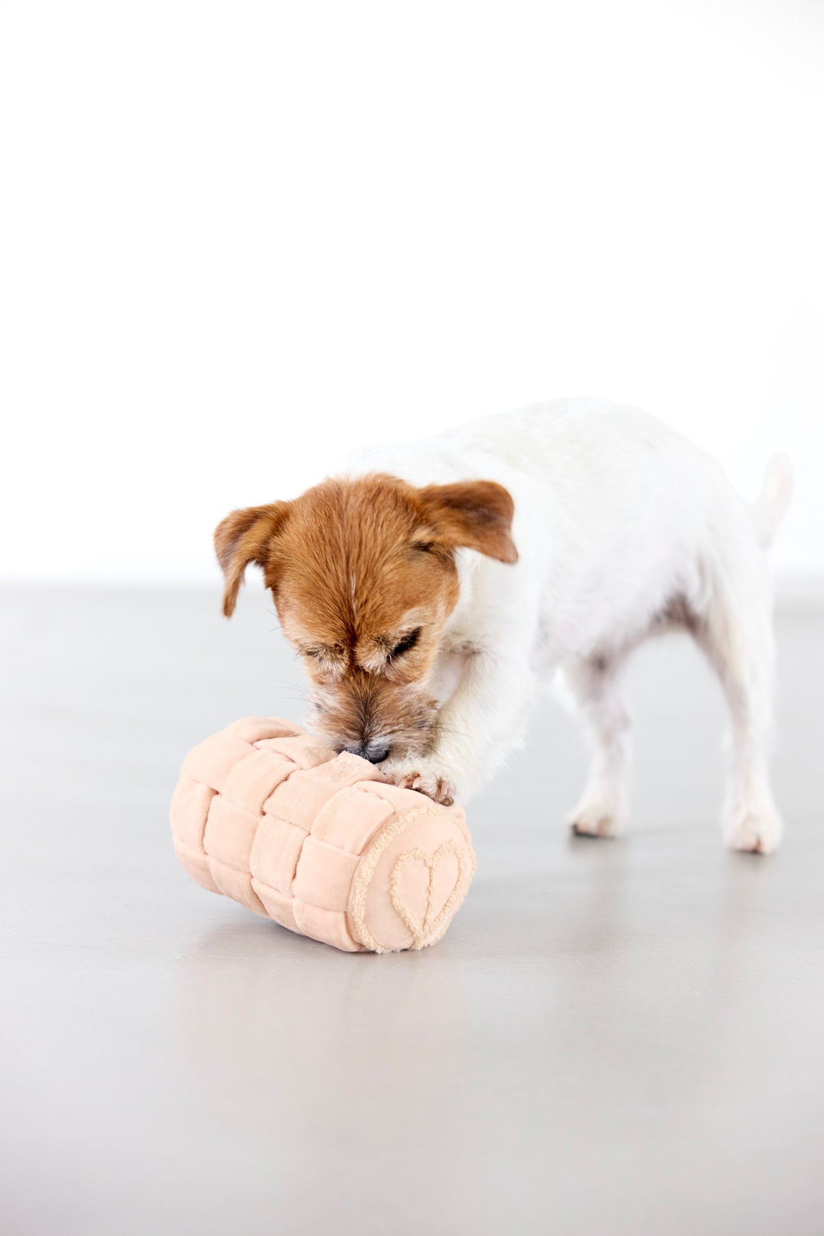 Hundespielzeug - Kalpi - PALOPA