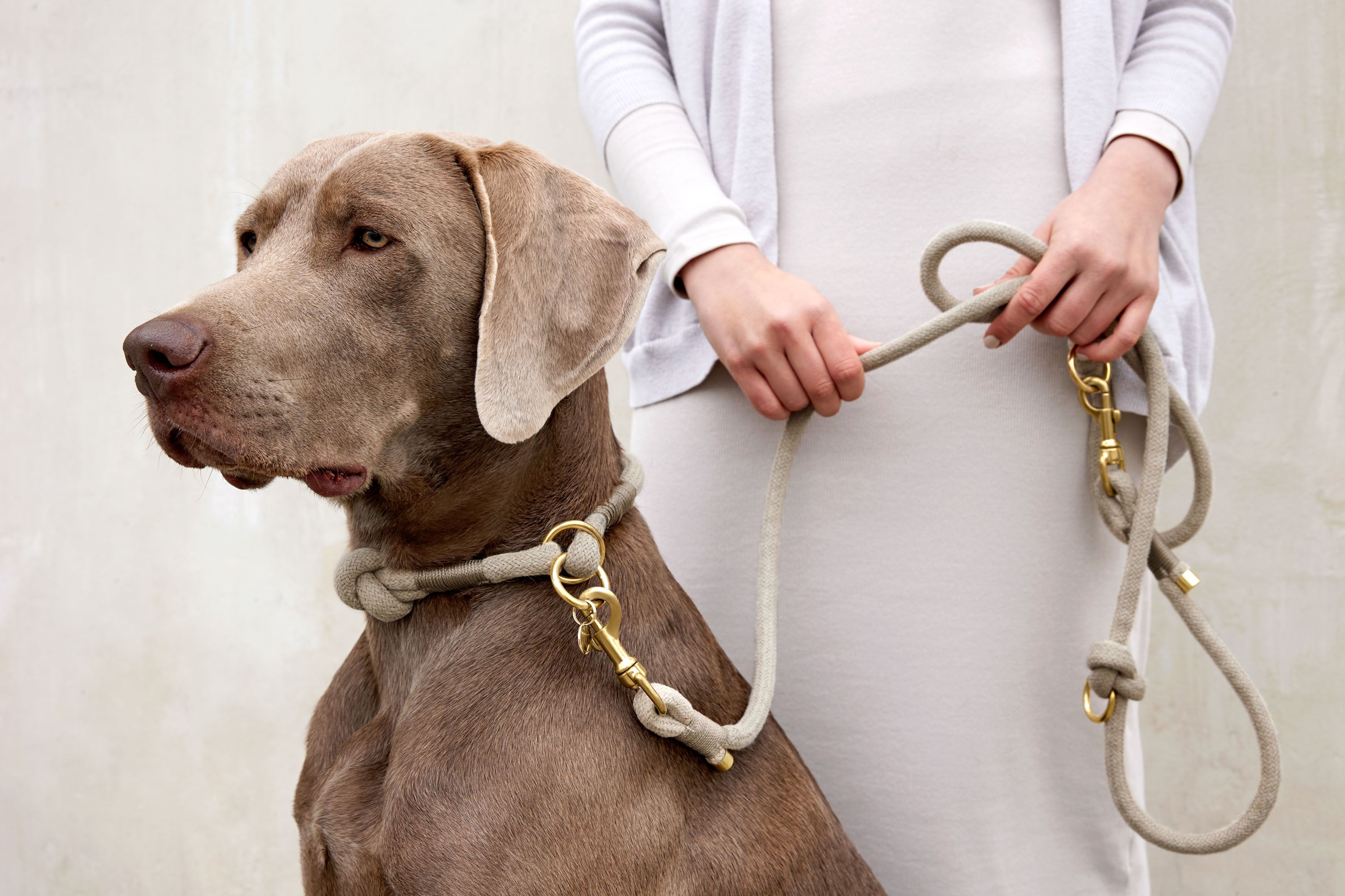 Hundehalsband geflochten - Mila, Natur