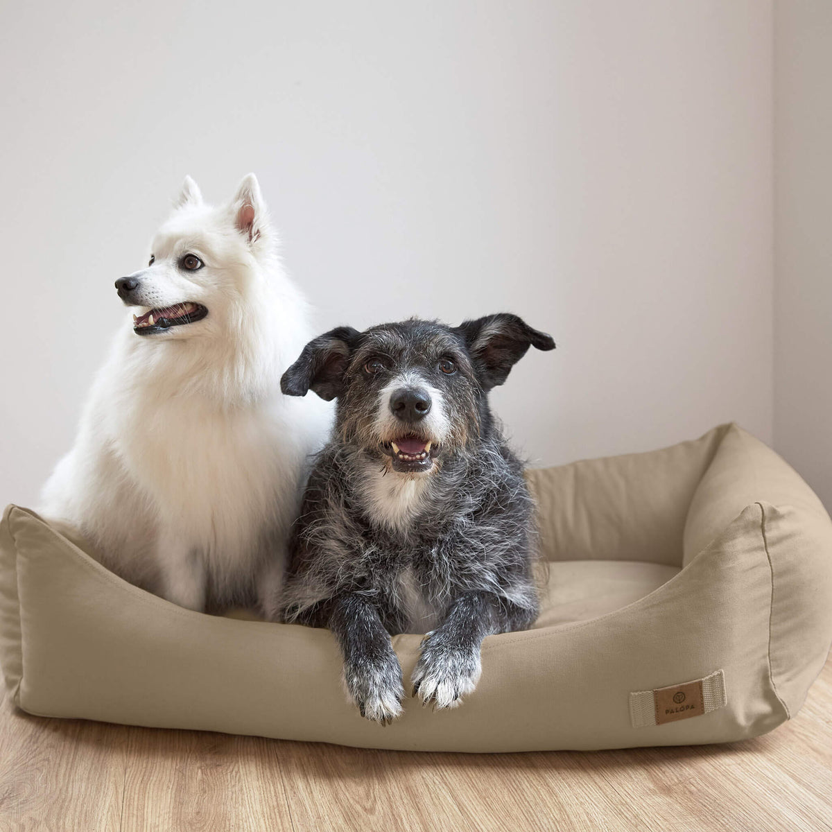 Hundebett mit Hunden - Palopa