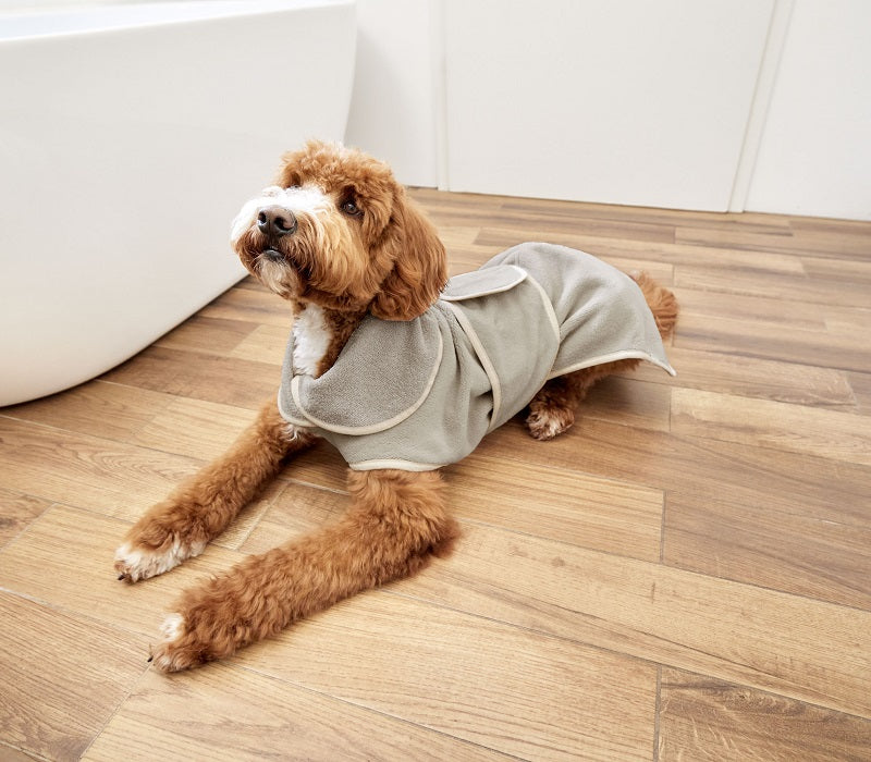 Brauner Hund liegt auf dem Boden eines Badezimmers und hat einen Bademantel Robi an.