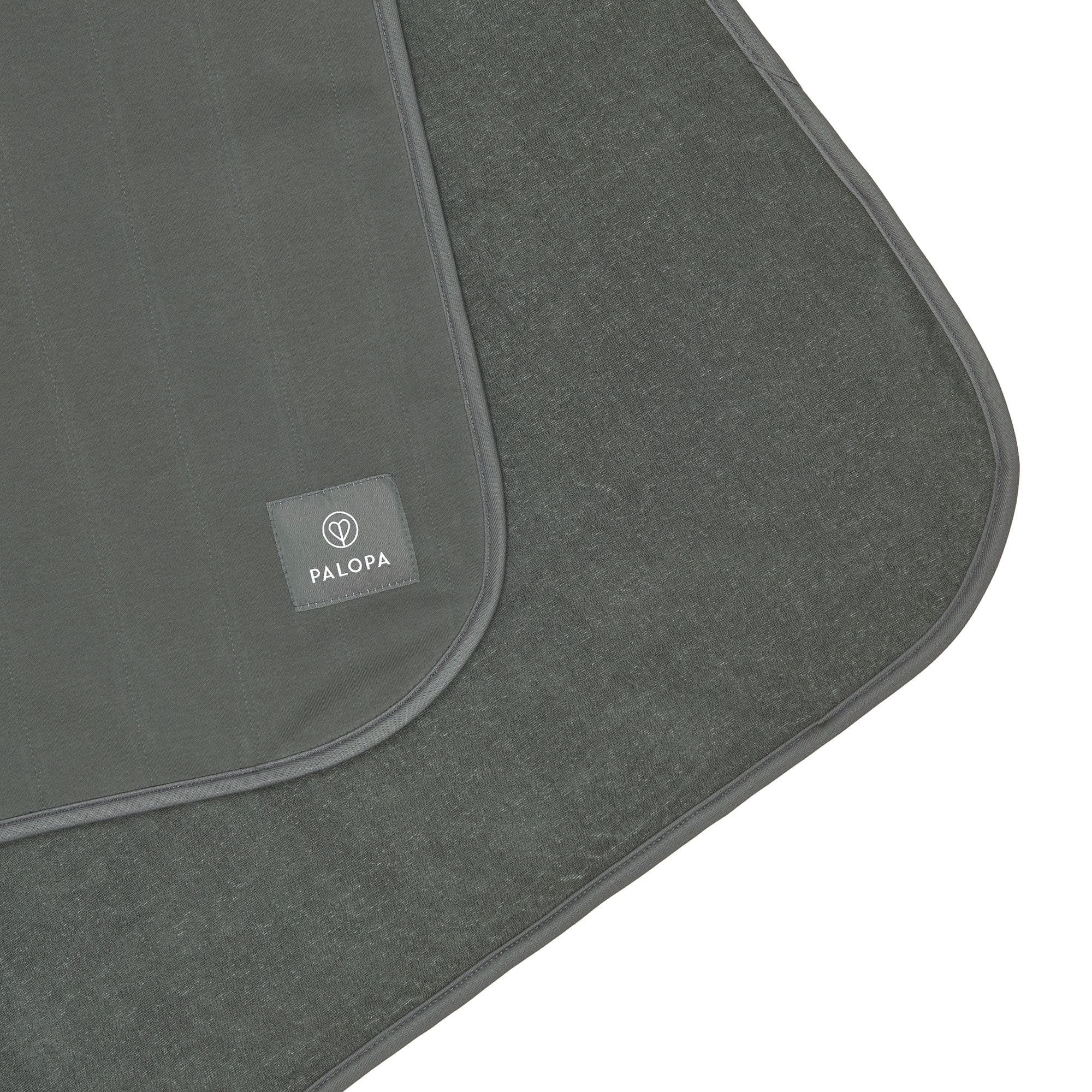 Hunde Schmutzfangmatte - Benti, Anthrazit PALOPA